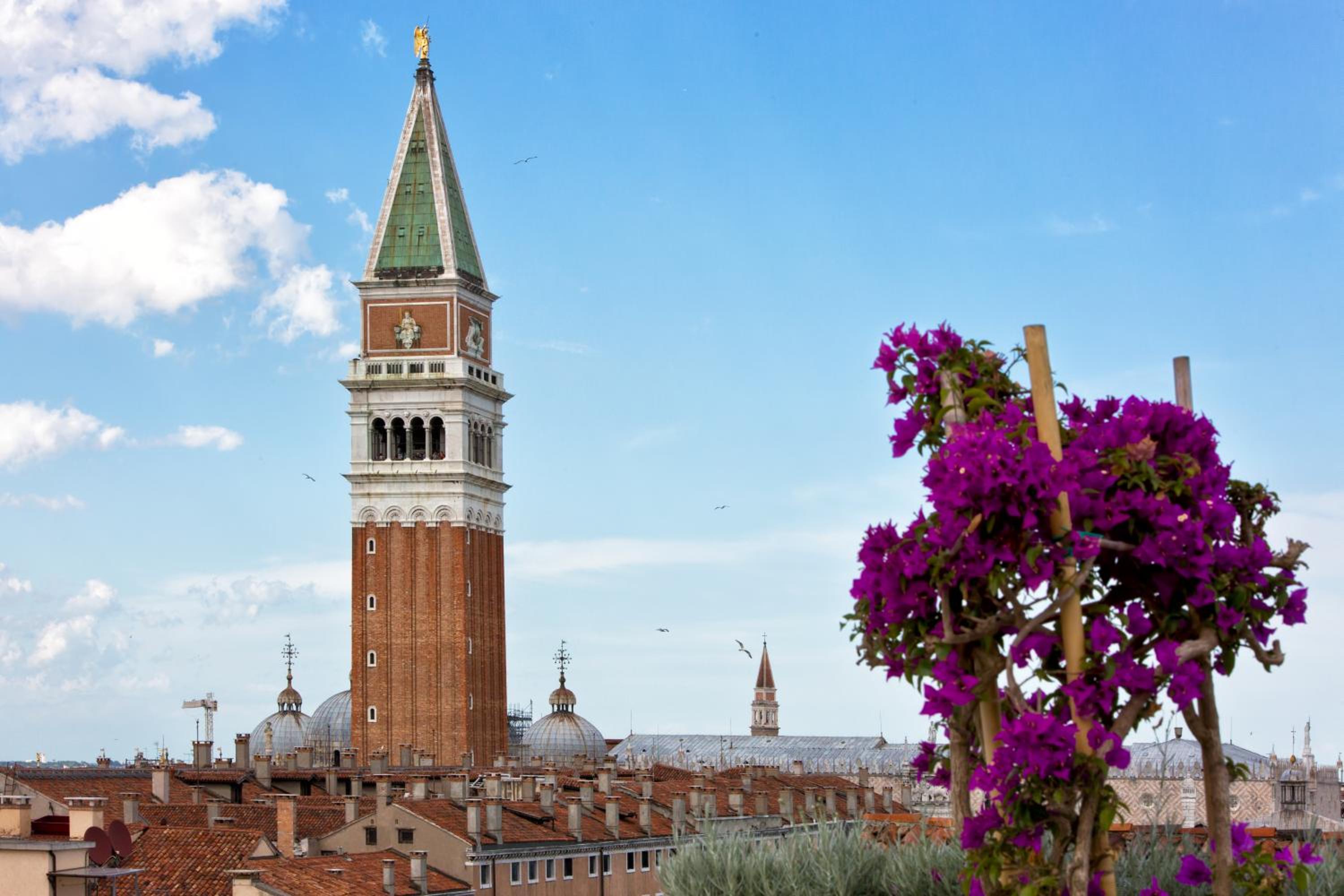 ItaliaHaus - Ca' Olivo loft with canal view in Rialto Venice