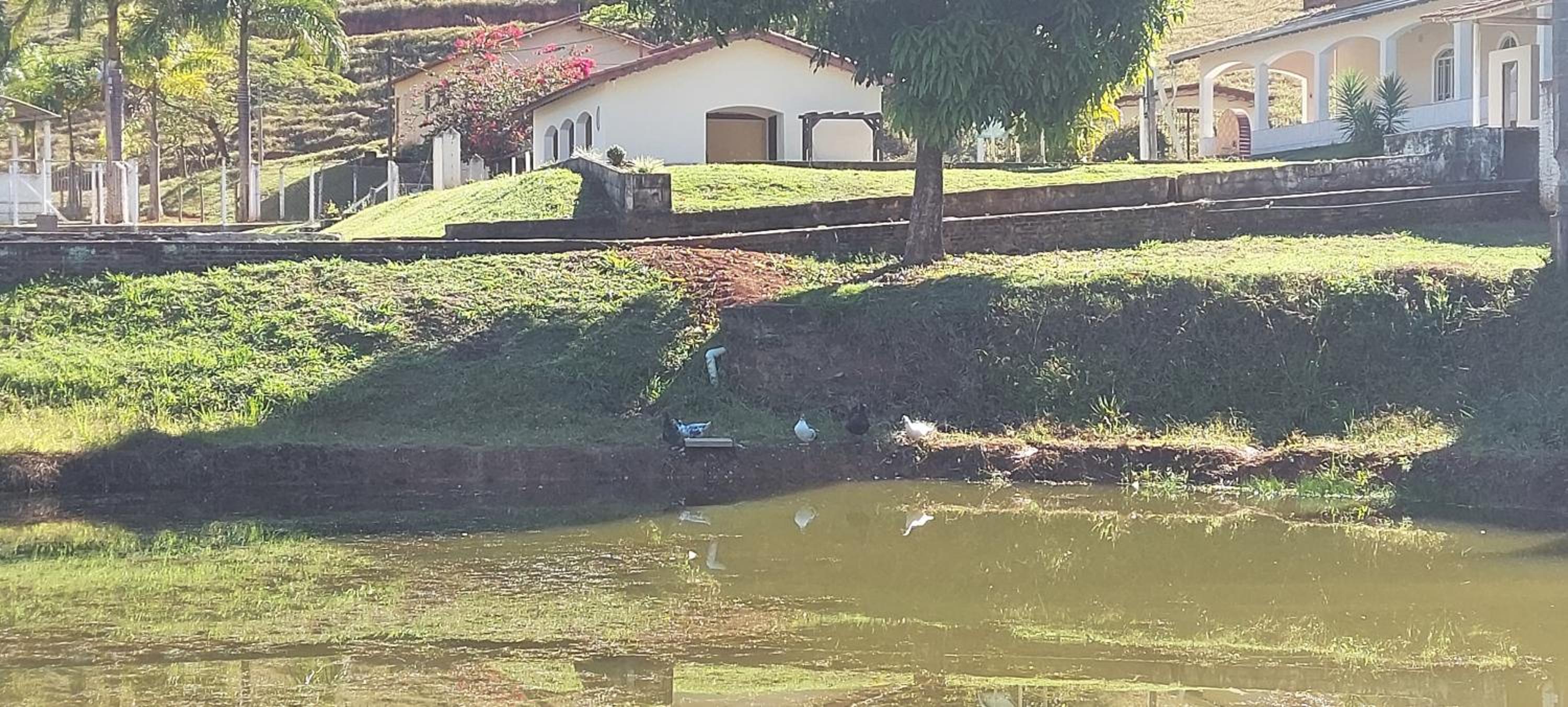 Sítio dos Rodrigues