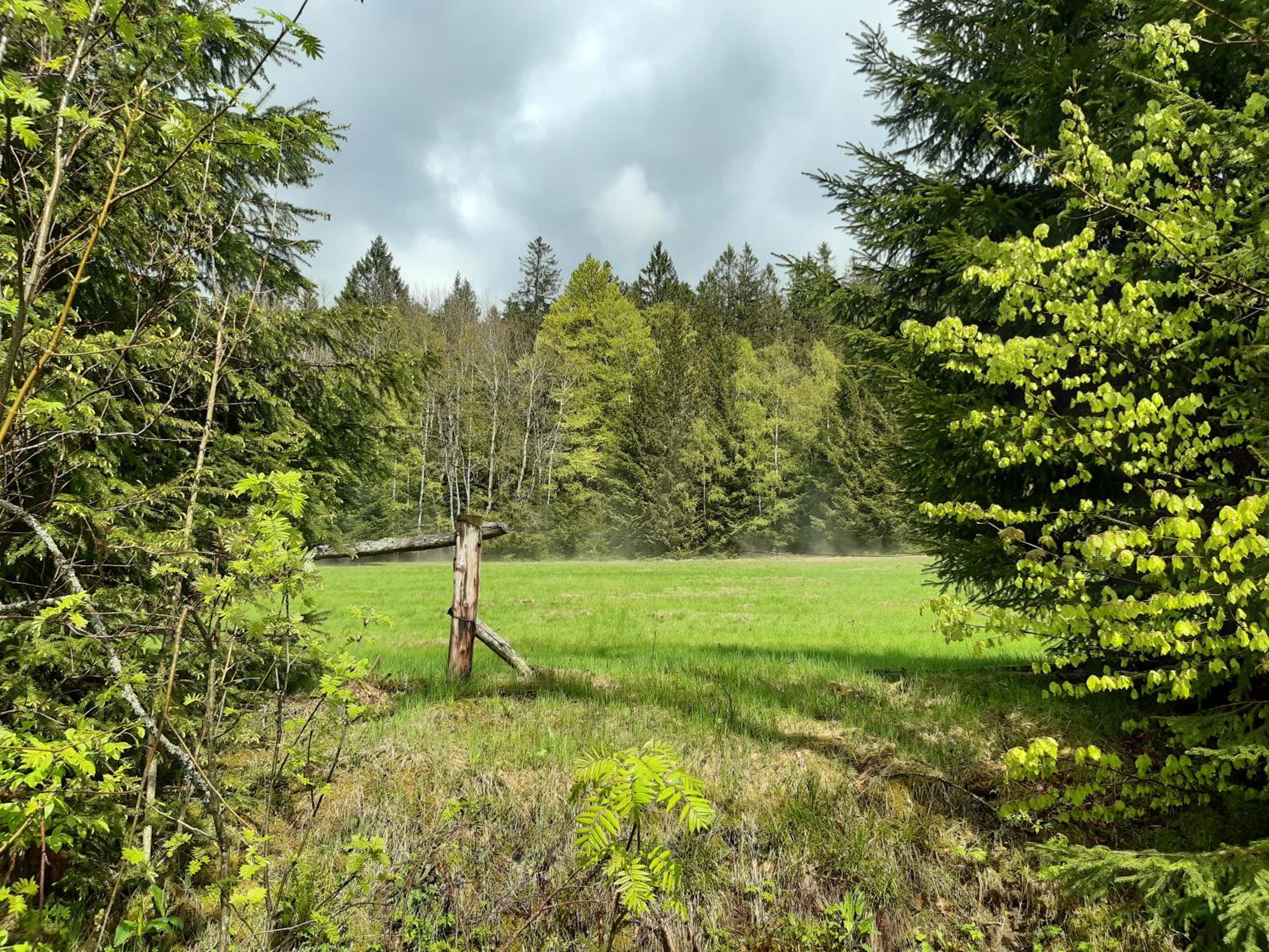 Photo 42