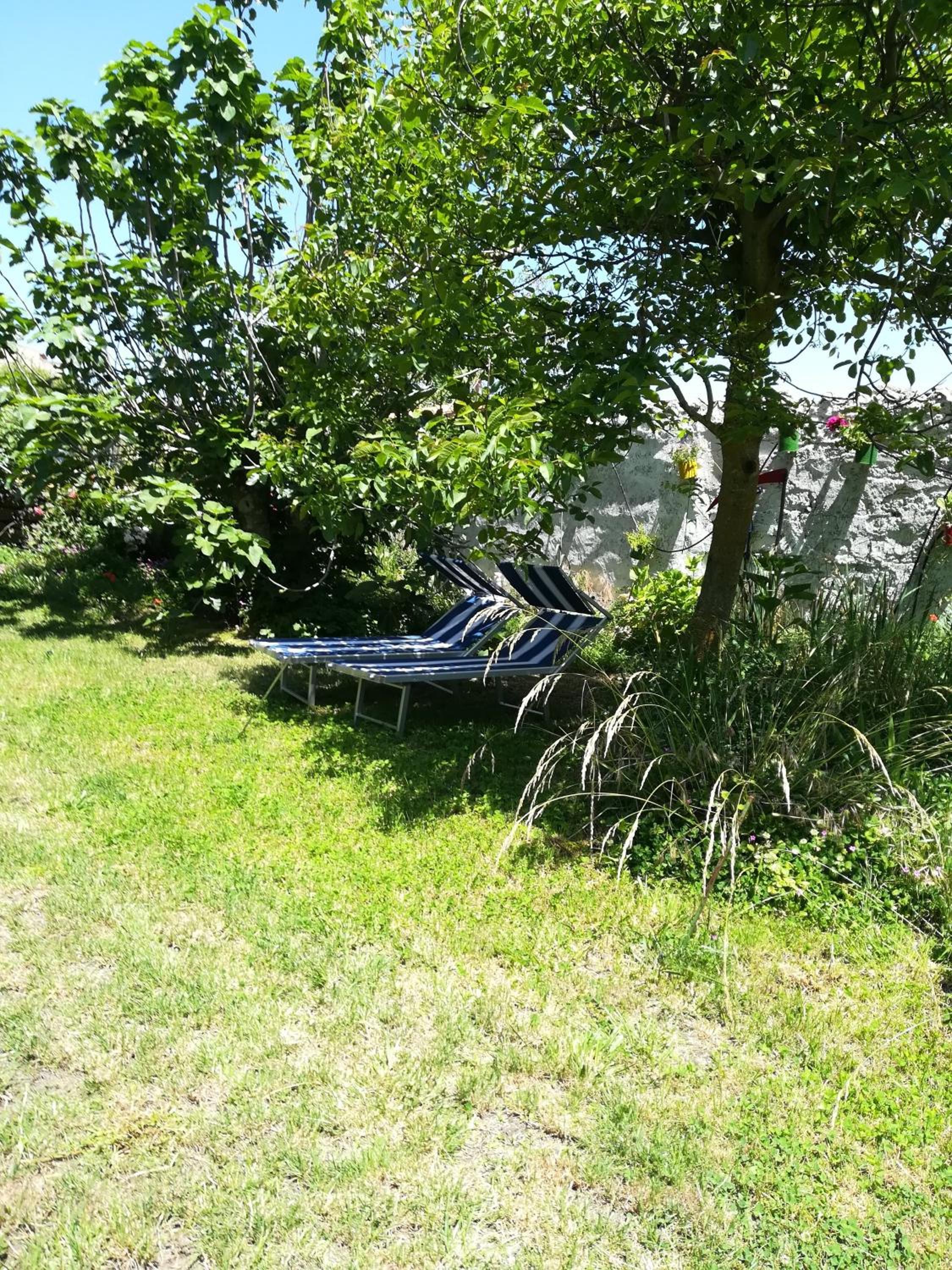 AFFITTA CAMERE CASA DELLE ROSE view 5