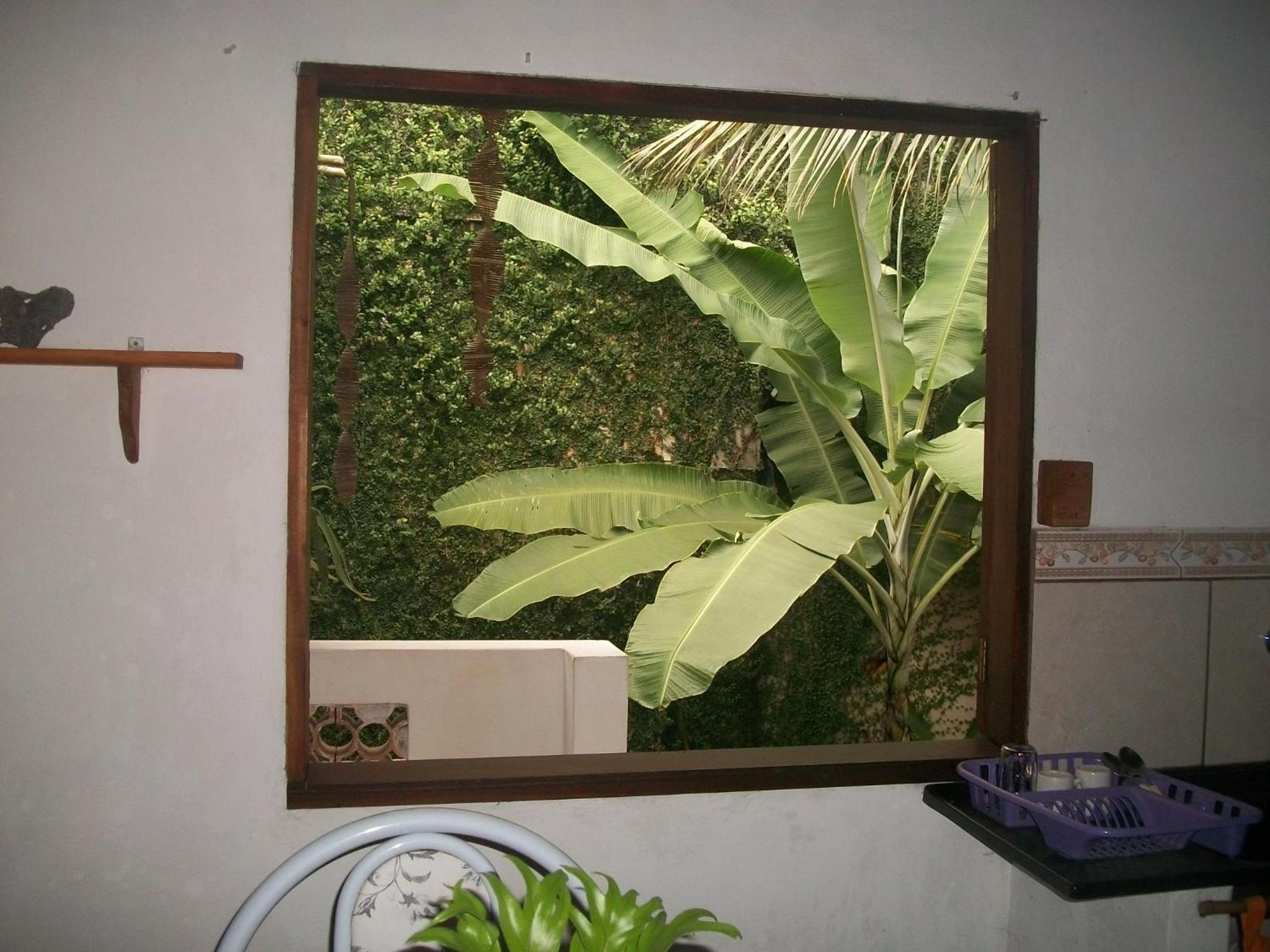 Casa da Jaca 1 view 5