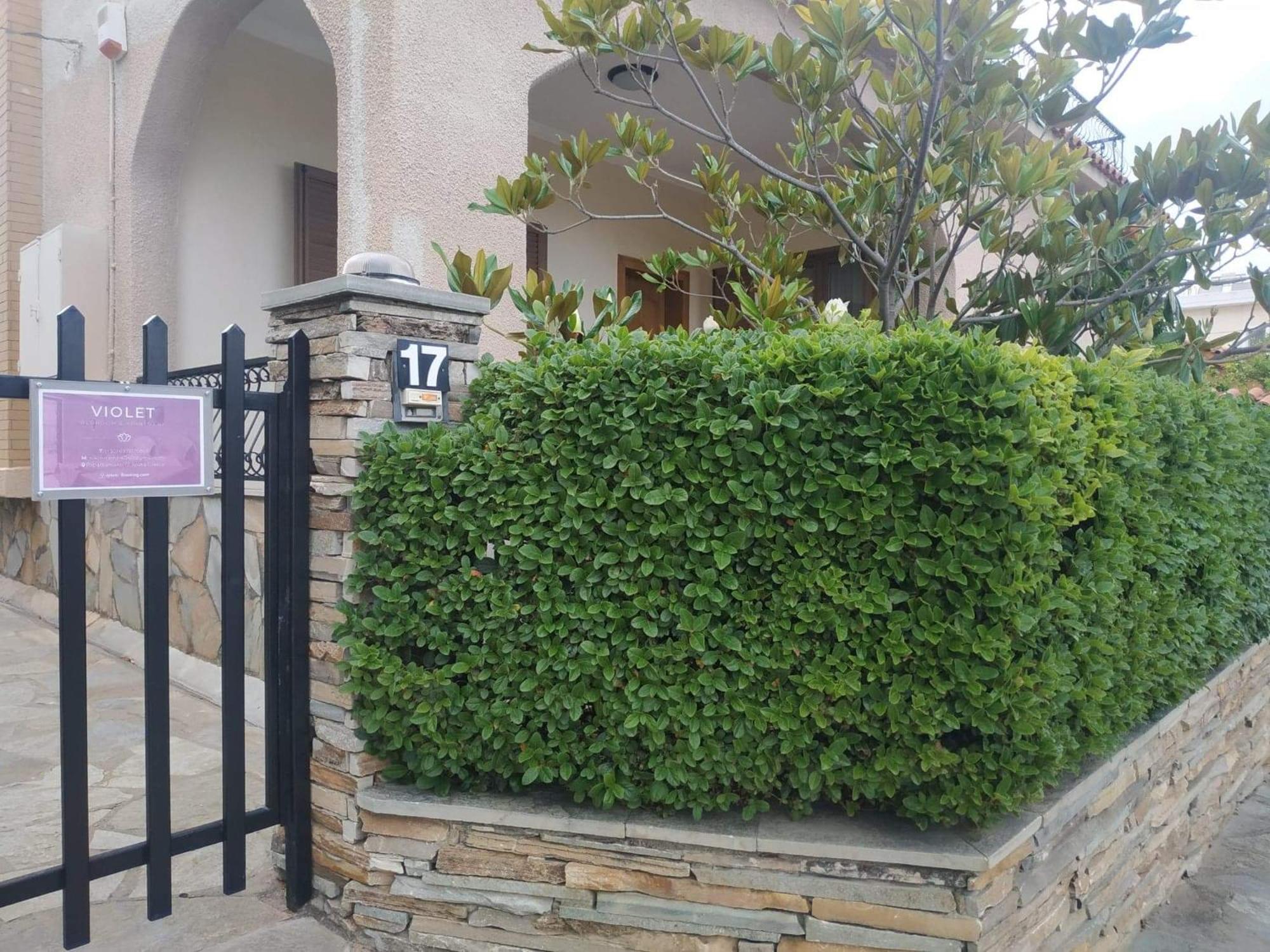 Photo 42