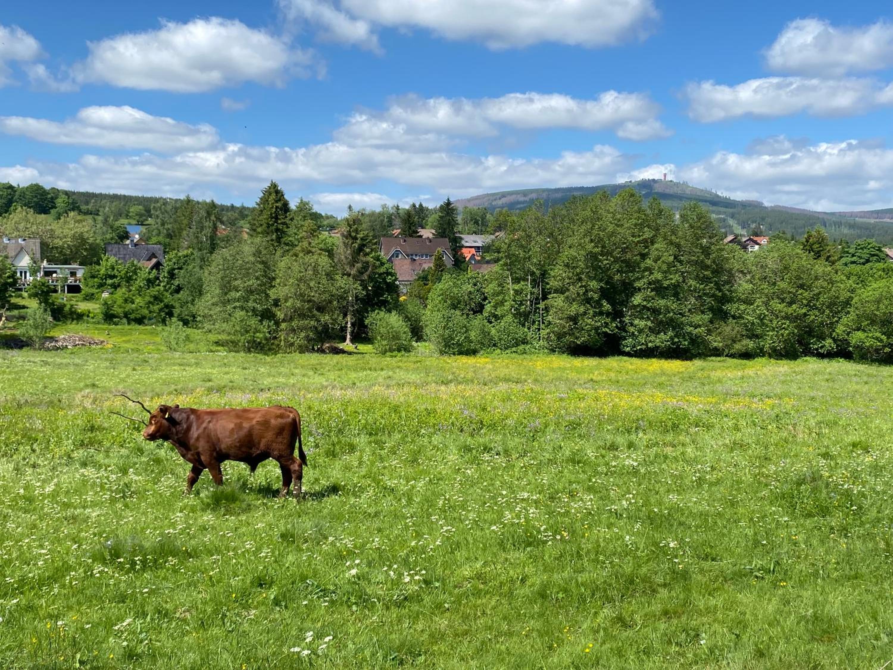 BERGLAGE - Das UrlaubZuhause