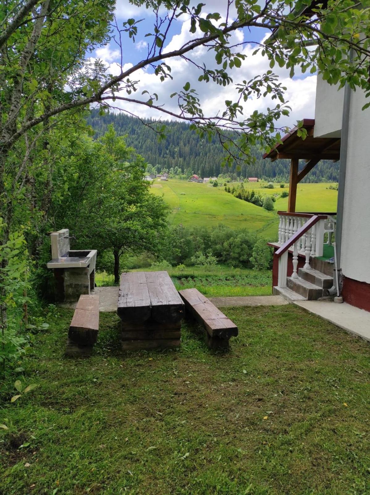 Vlasic holiday home