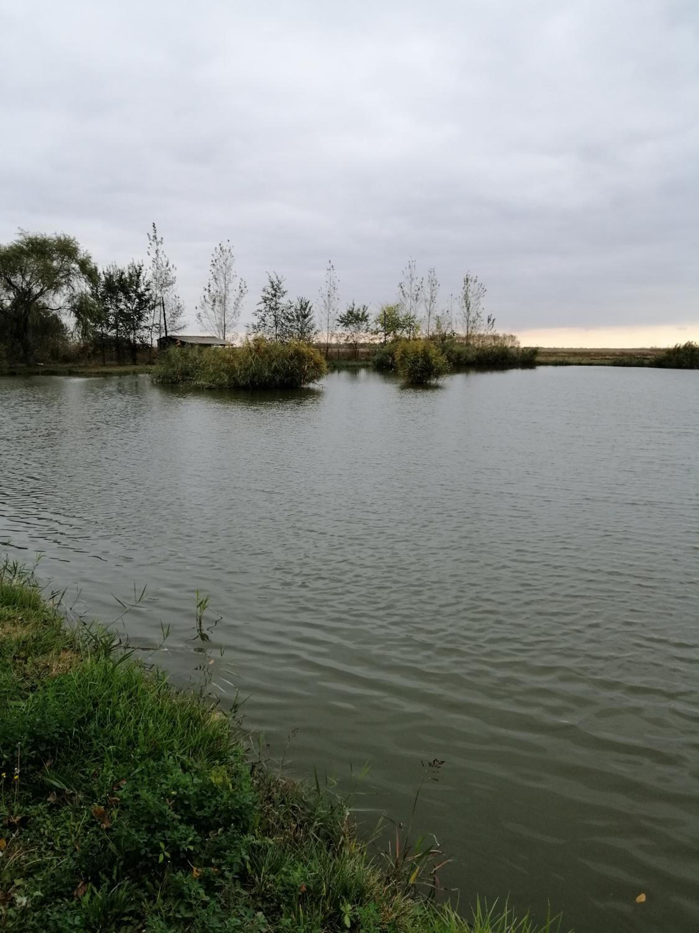 Photo 35
