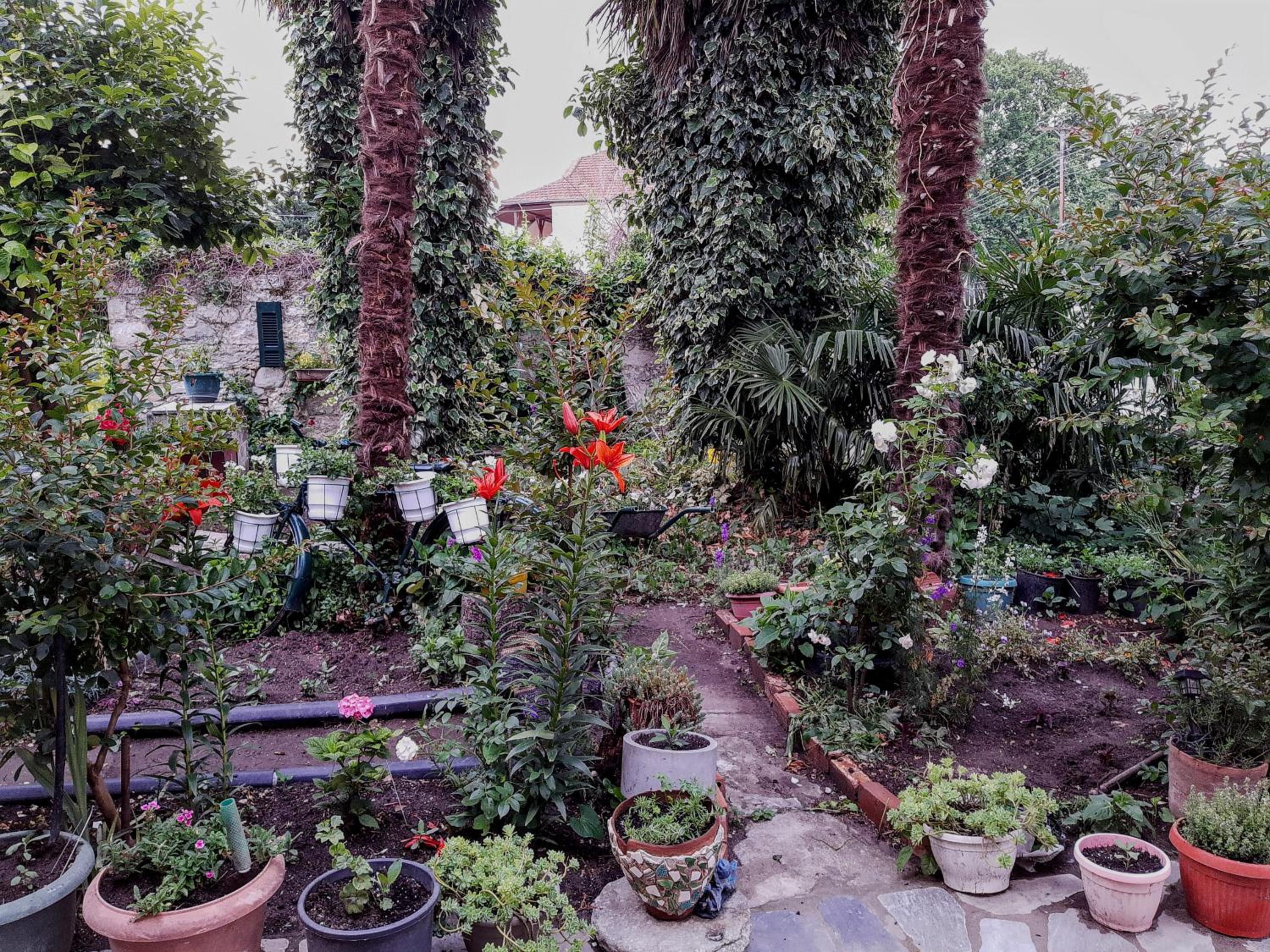 Rania's guest house view 5