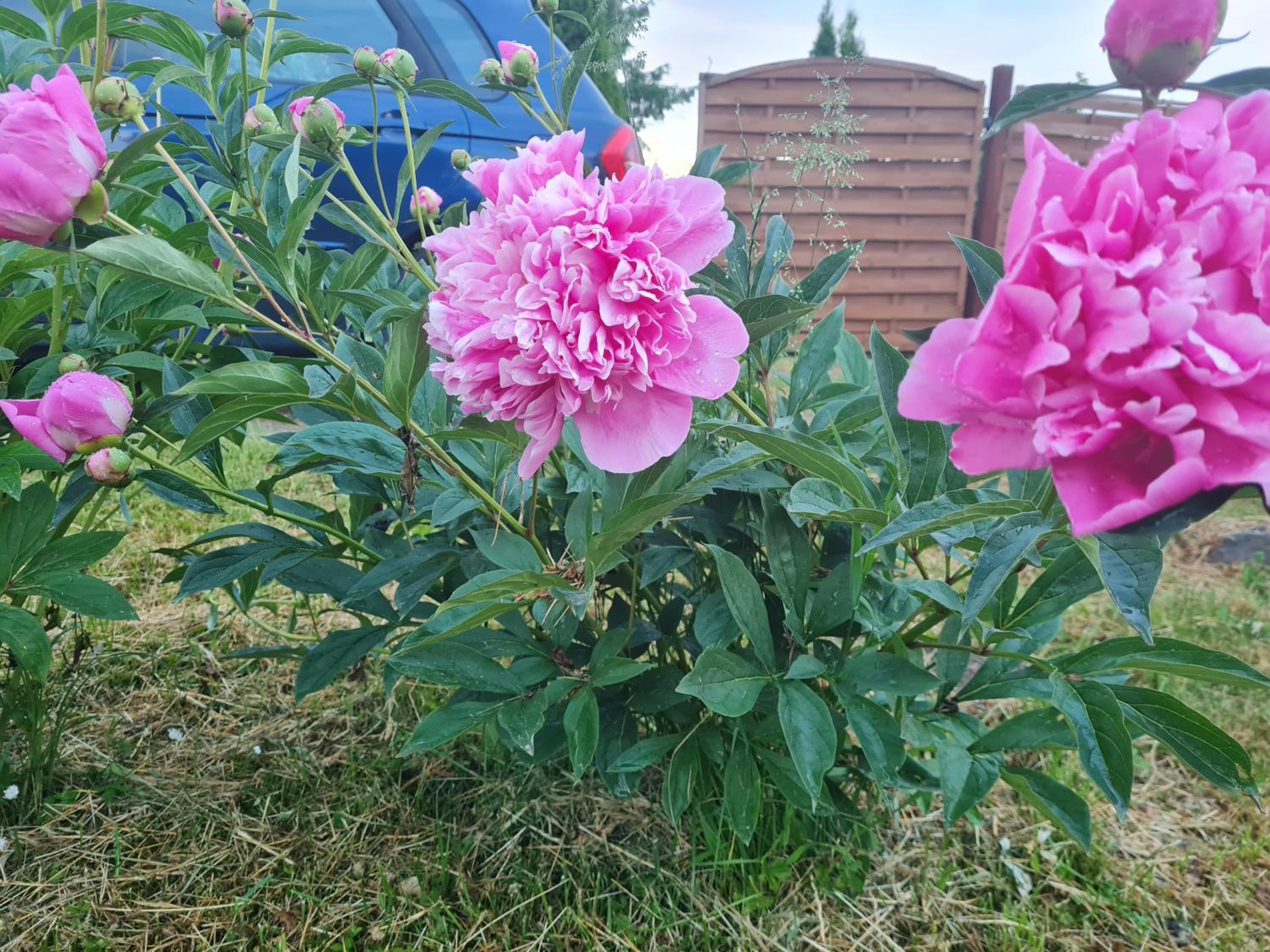 Photo 46