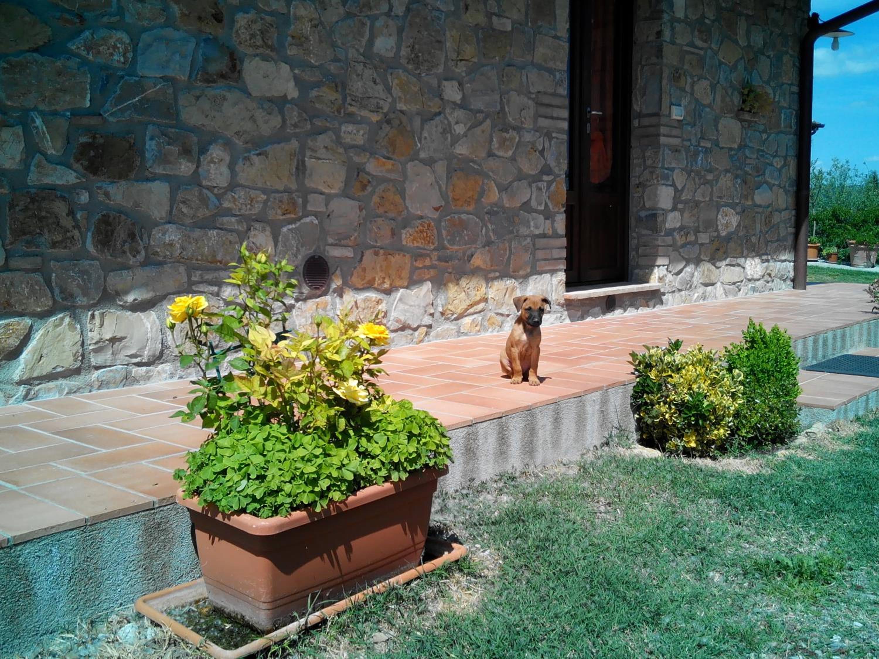 Agriturismo Collomici