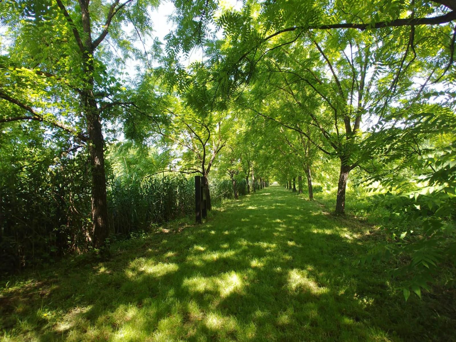 Photo 29