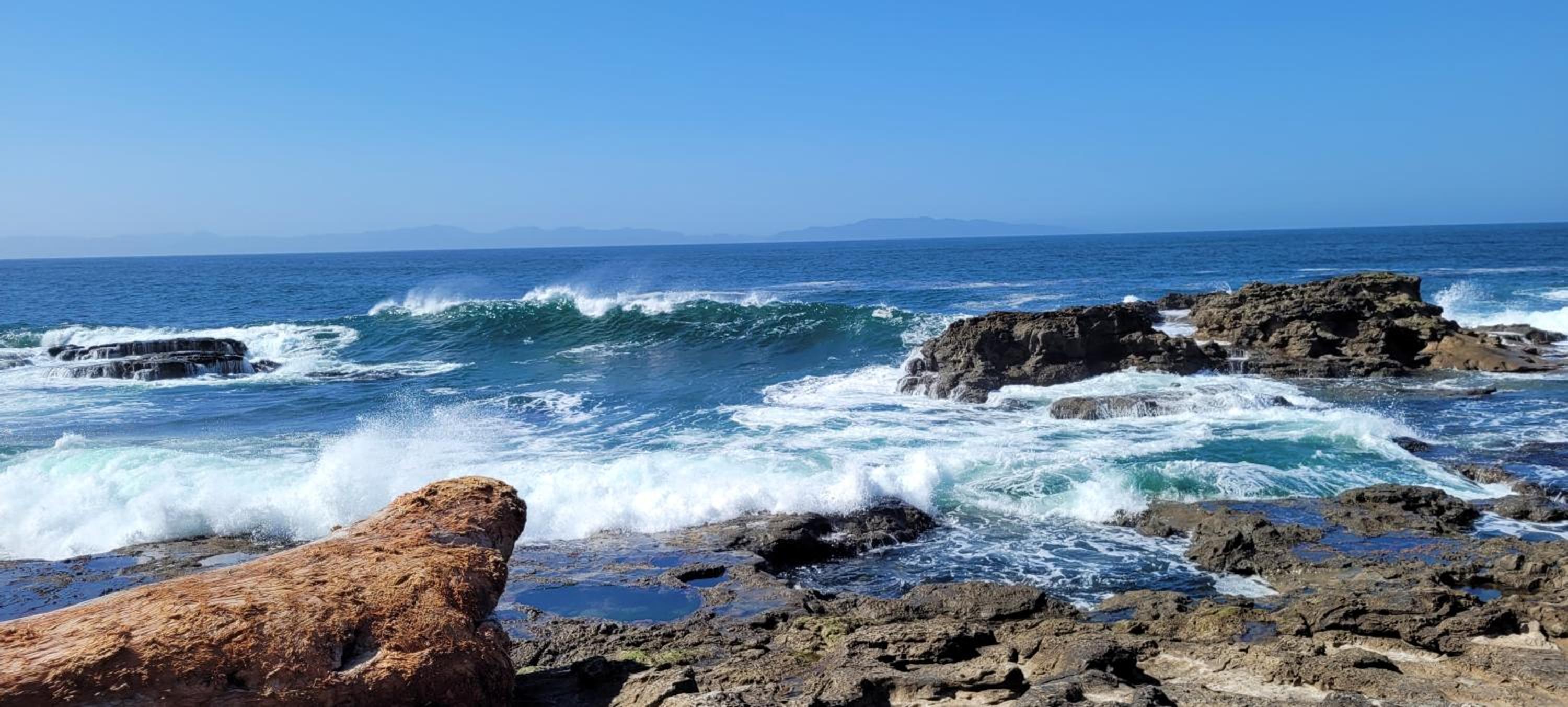 Port Renfrew Vacation Rentals