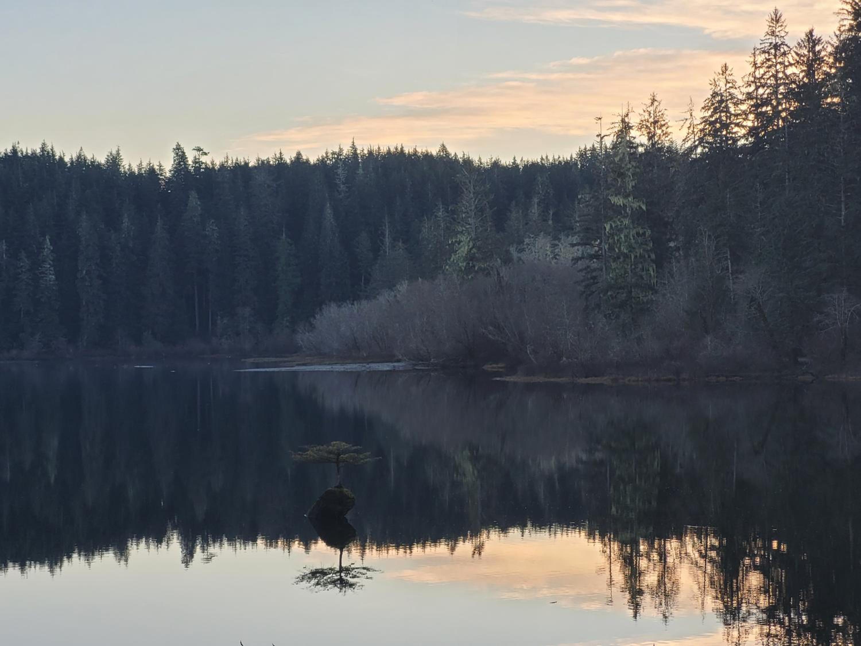 Port Renfrew Vacation Rentals