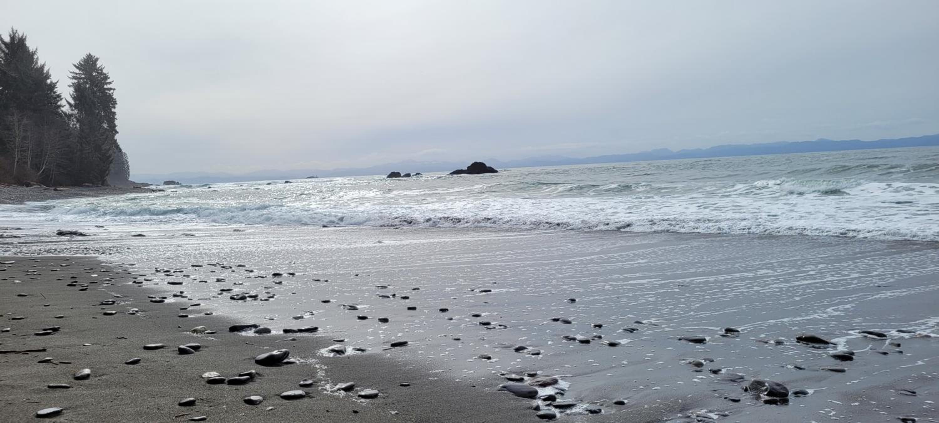 Port Renfrew Vacation Rentals