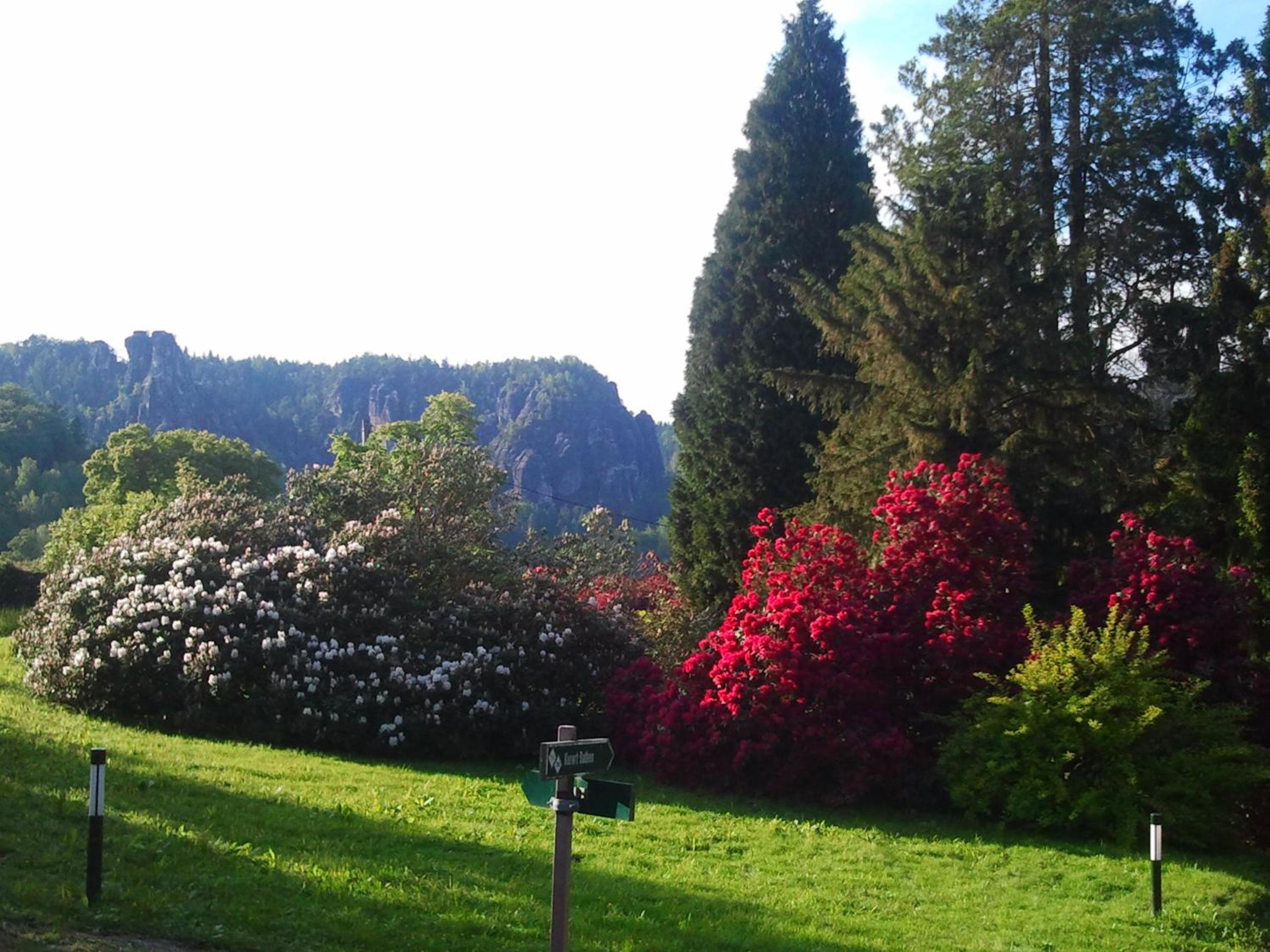 Sonniges Eck Ferienwohnung 1