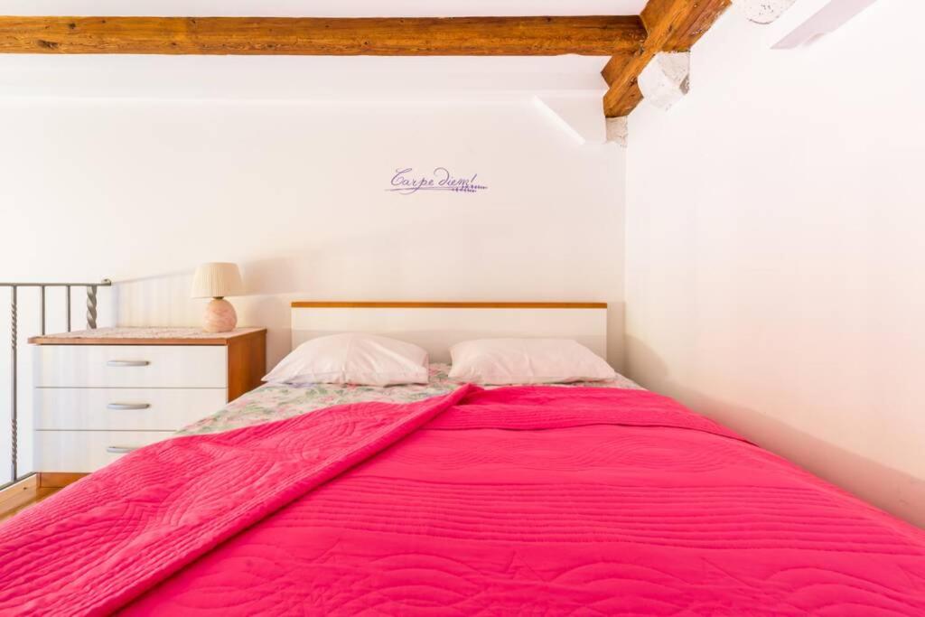 Carpe Diem apartment on the main street - Stradun