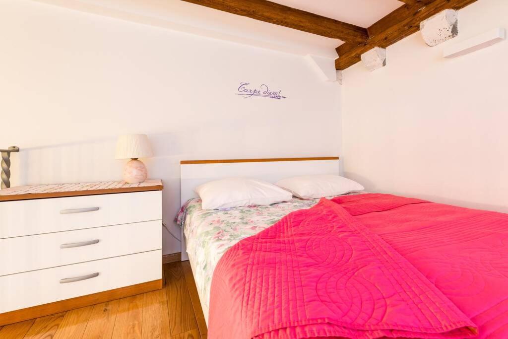 Carpe Diem apartment on the main street - Stradun