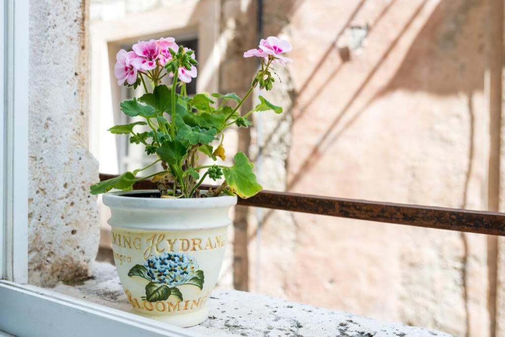 Carpe Diem apartment on the main street - Stradun