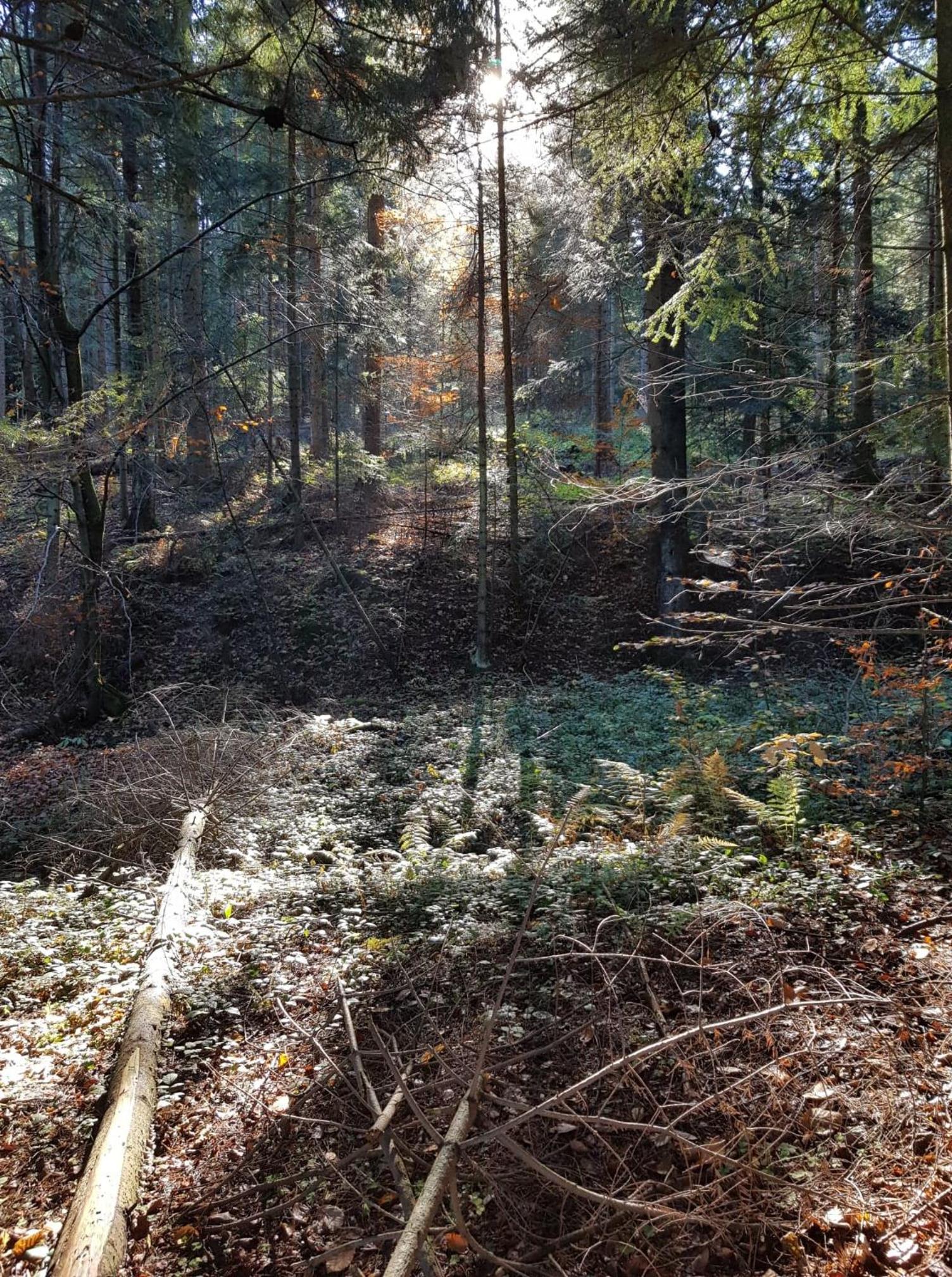 Photo 15