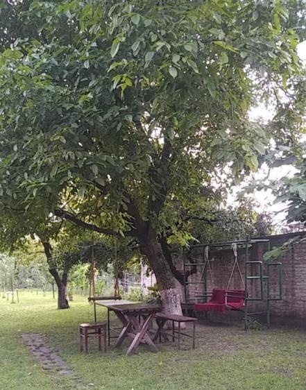 Danguba Biblioteka