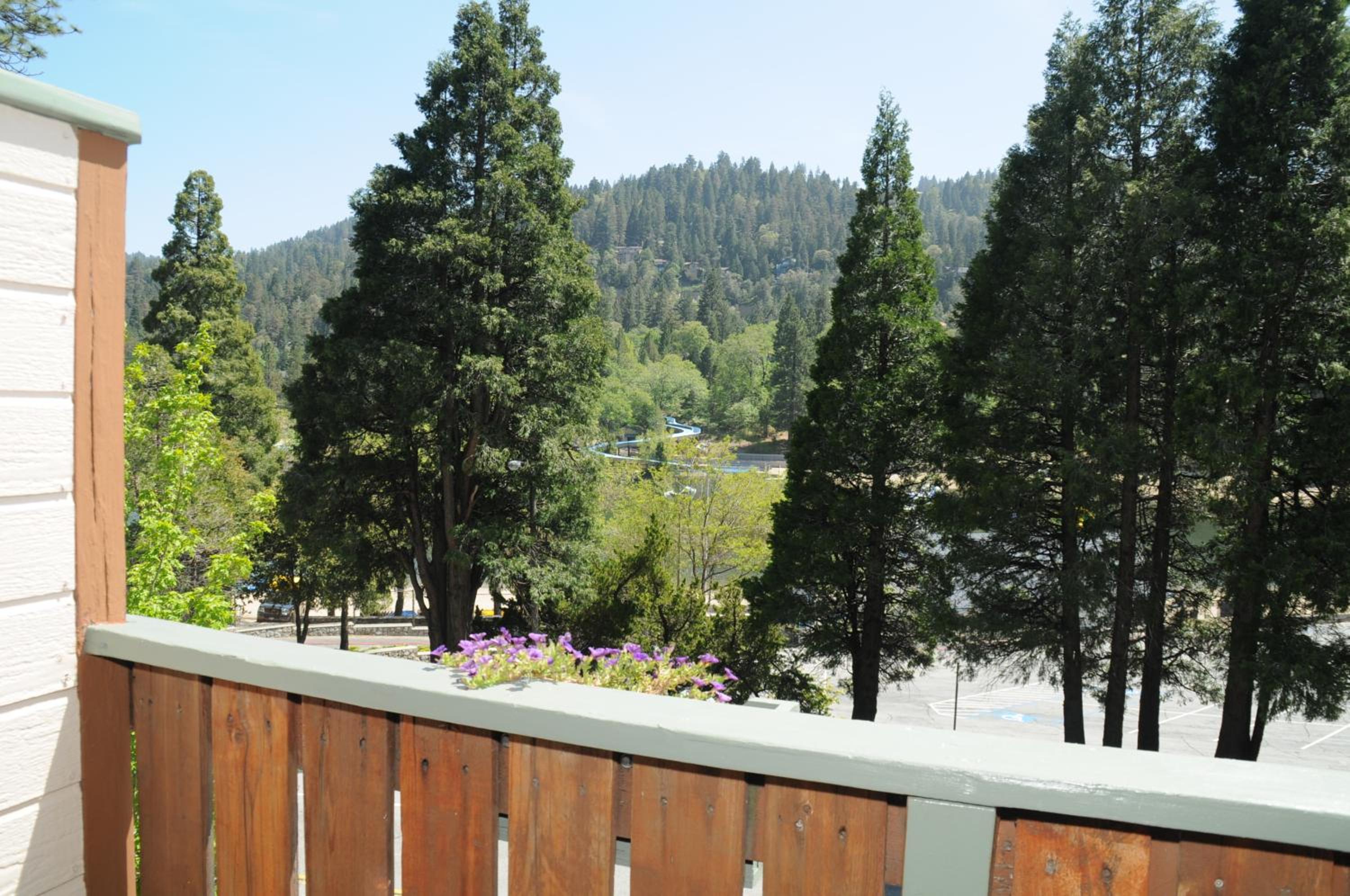 The North Shore Inn