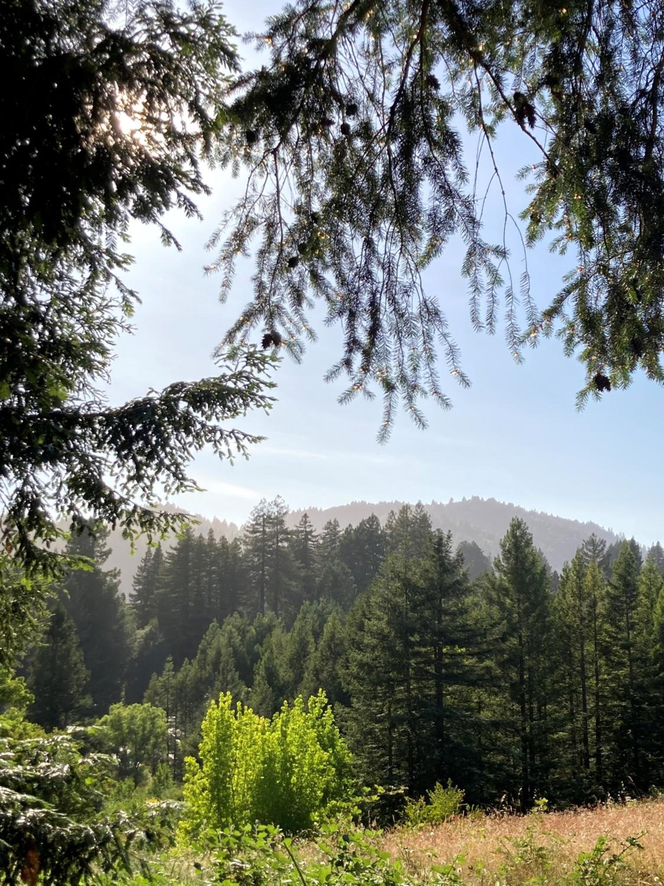 The Stavrand, Photo 52