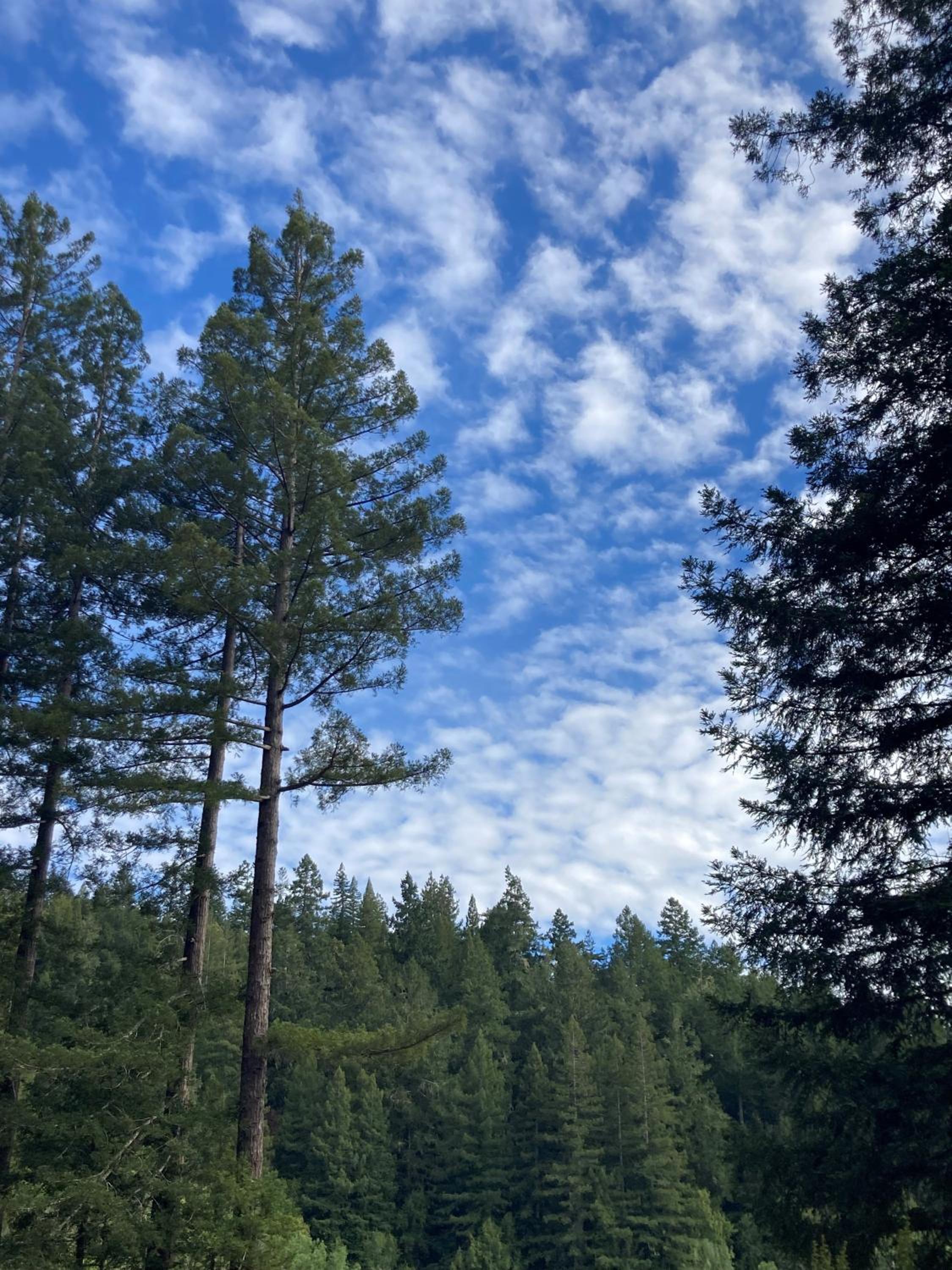 The Stavrand, Photo 31