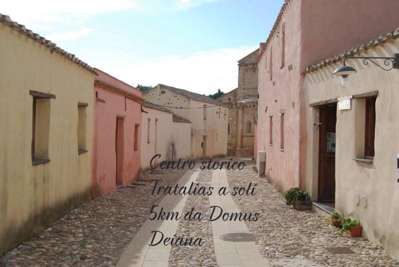 Photo 78
