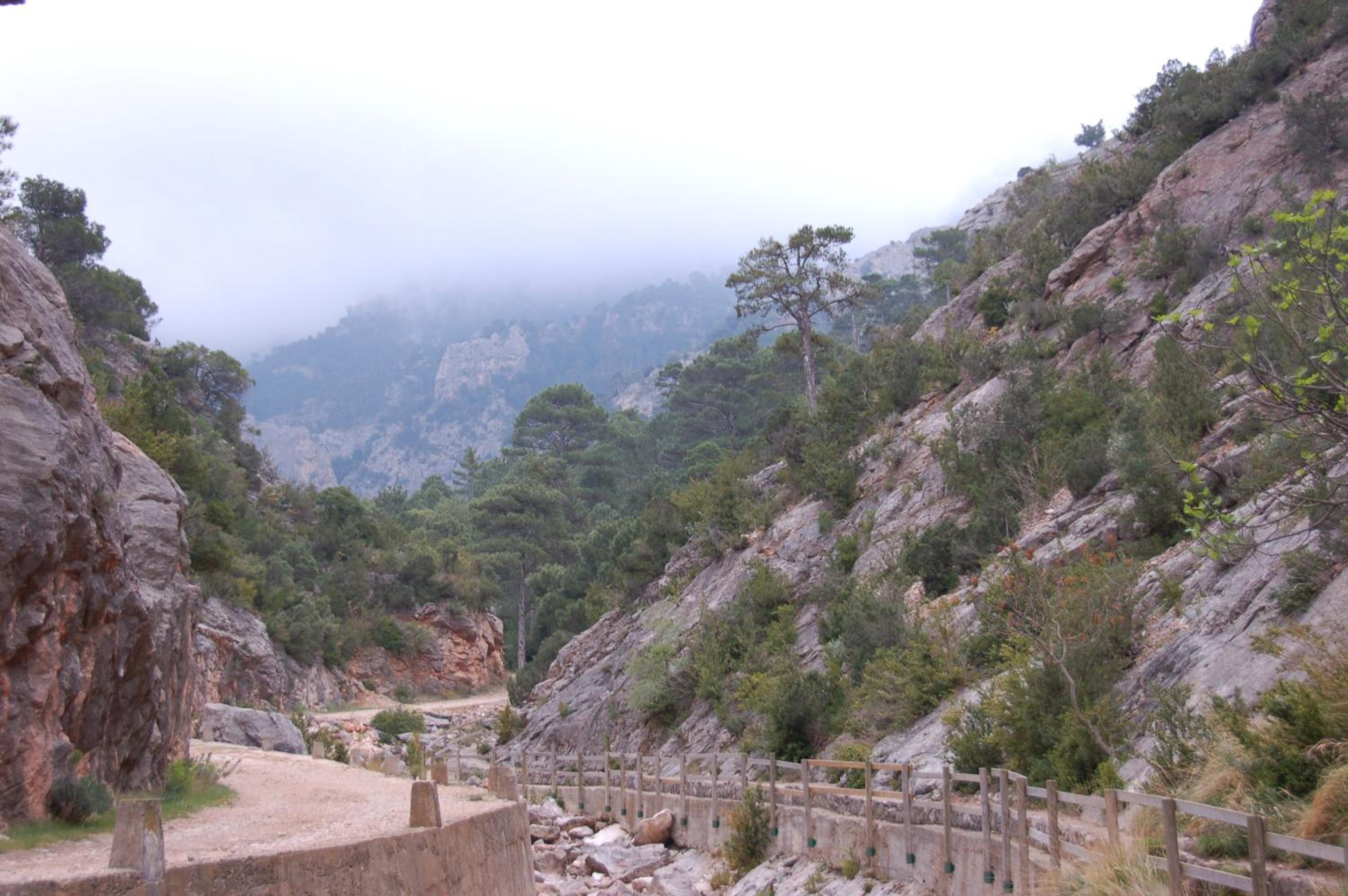 Càmping Terra Alta