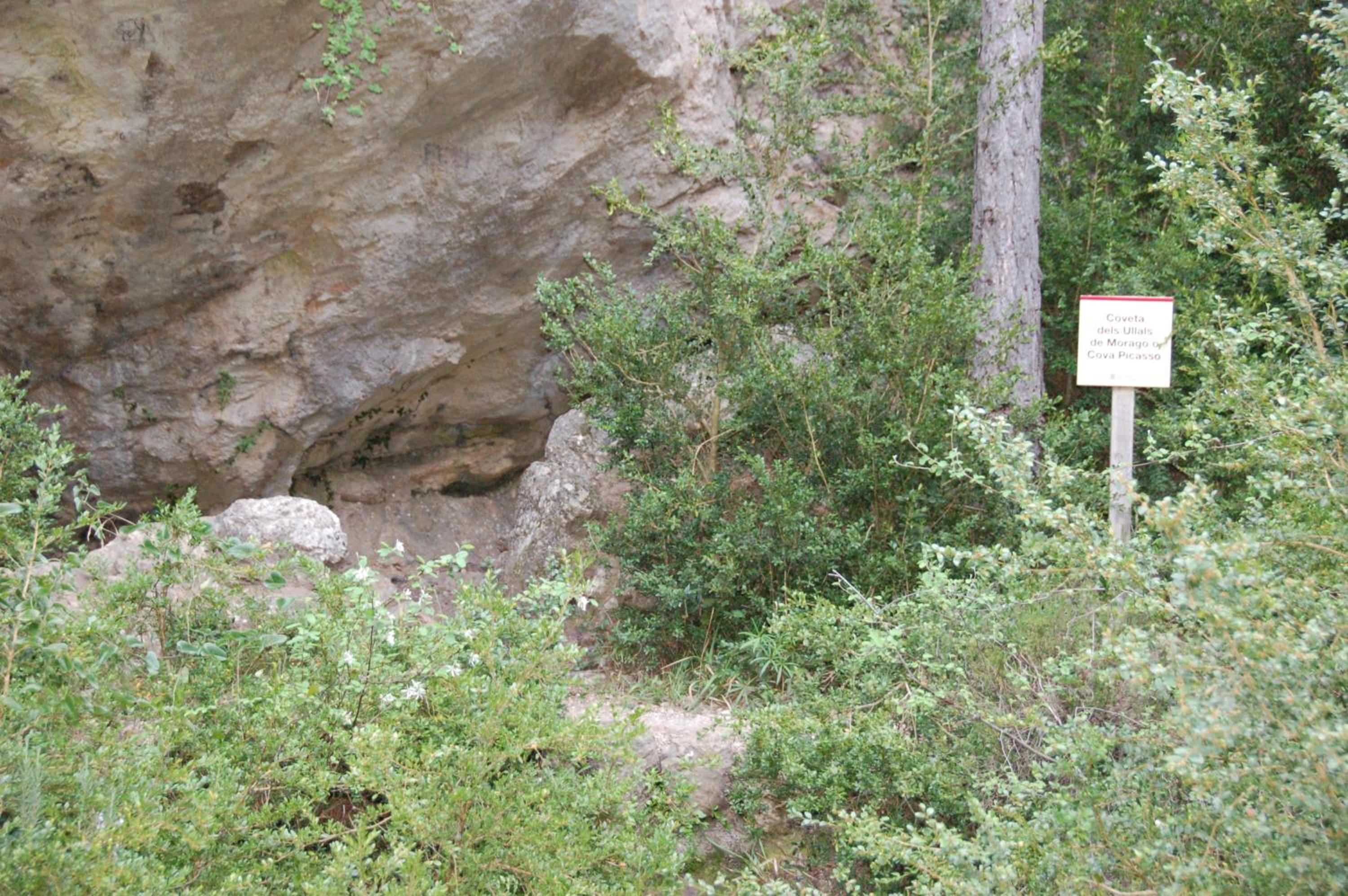 Càmping Terra Alta