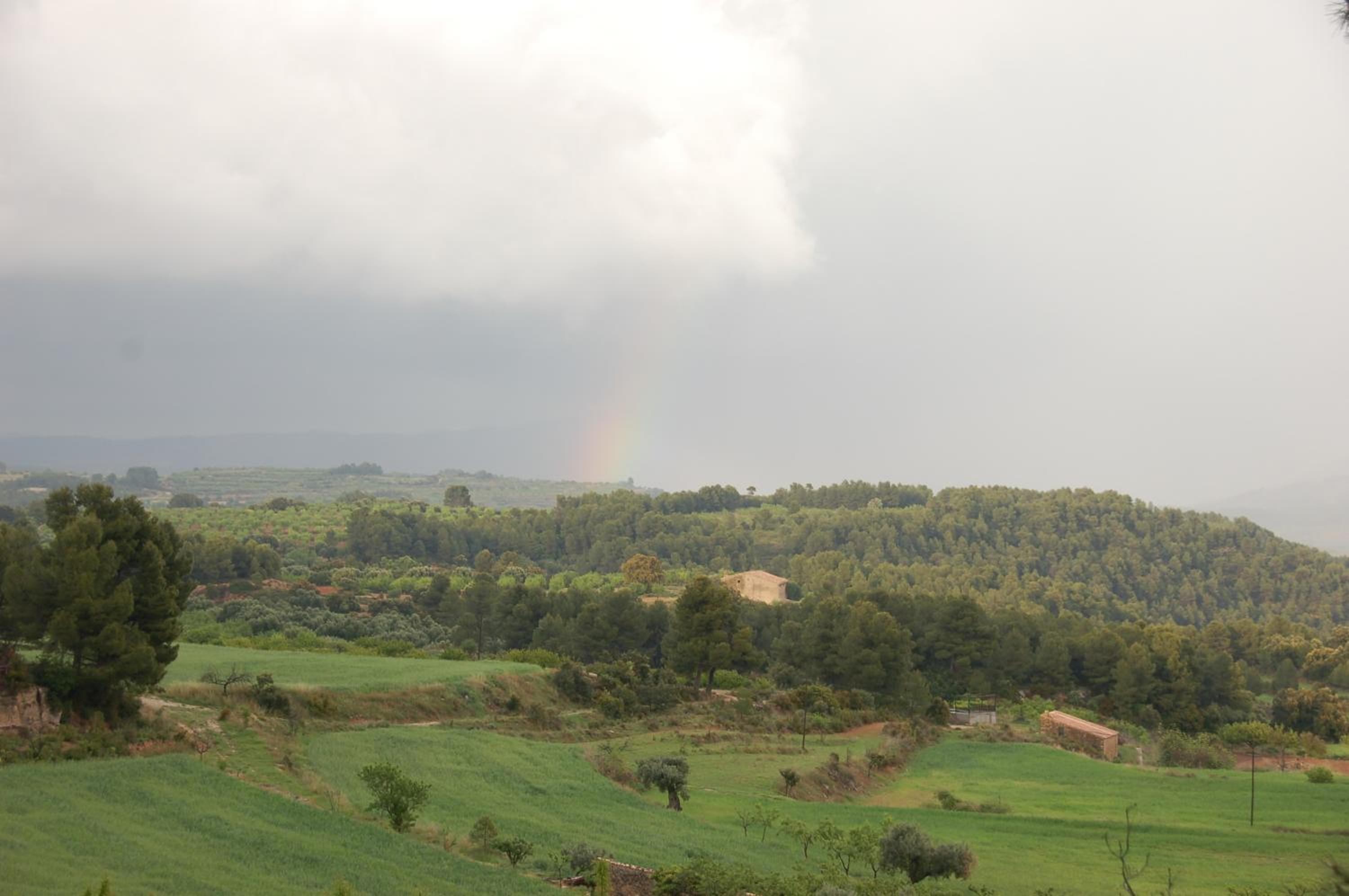 Càmping Terra Alta