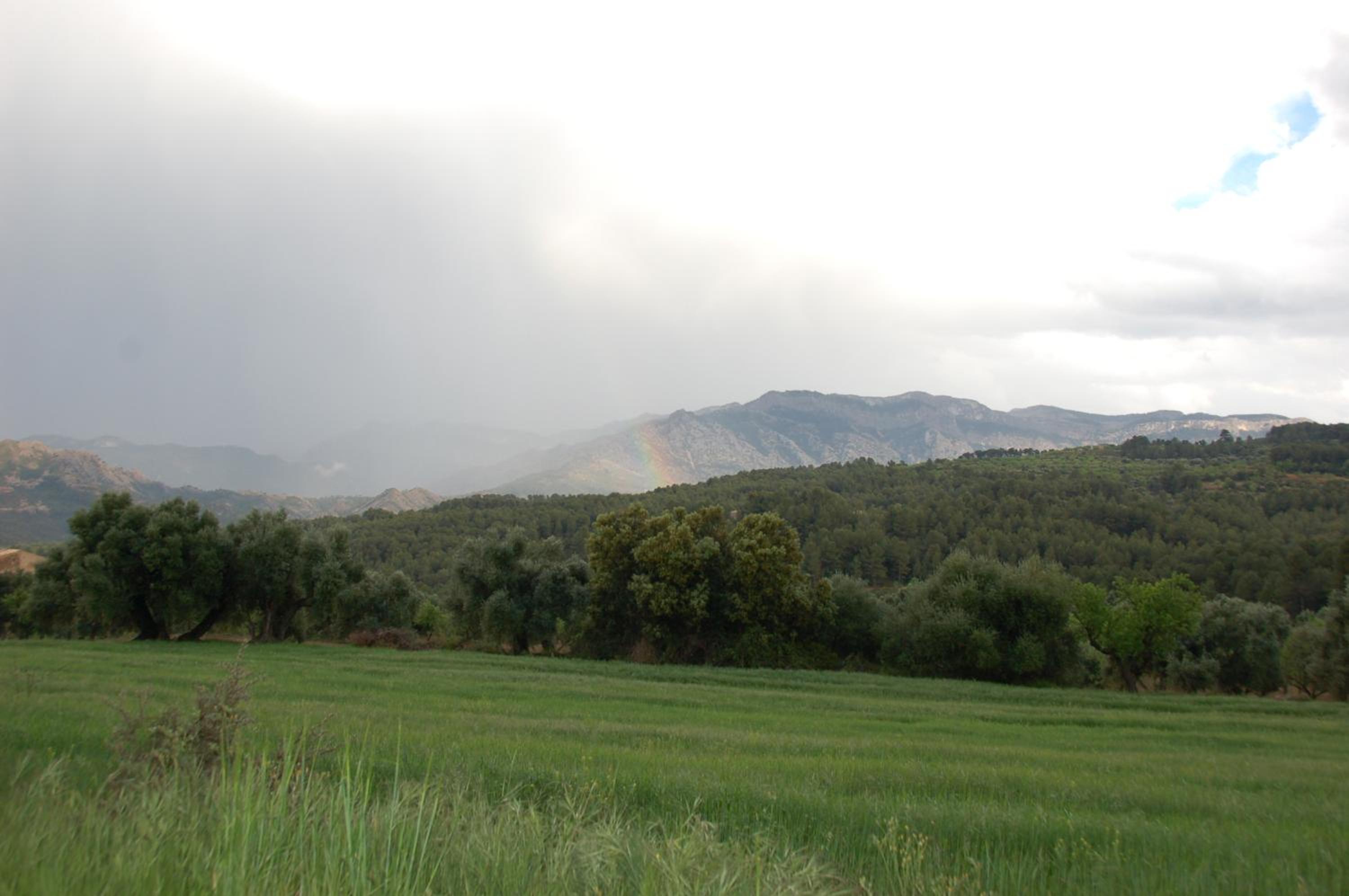 Càmping Terra Alta