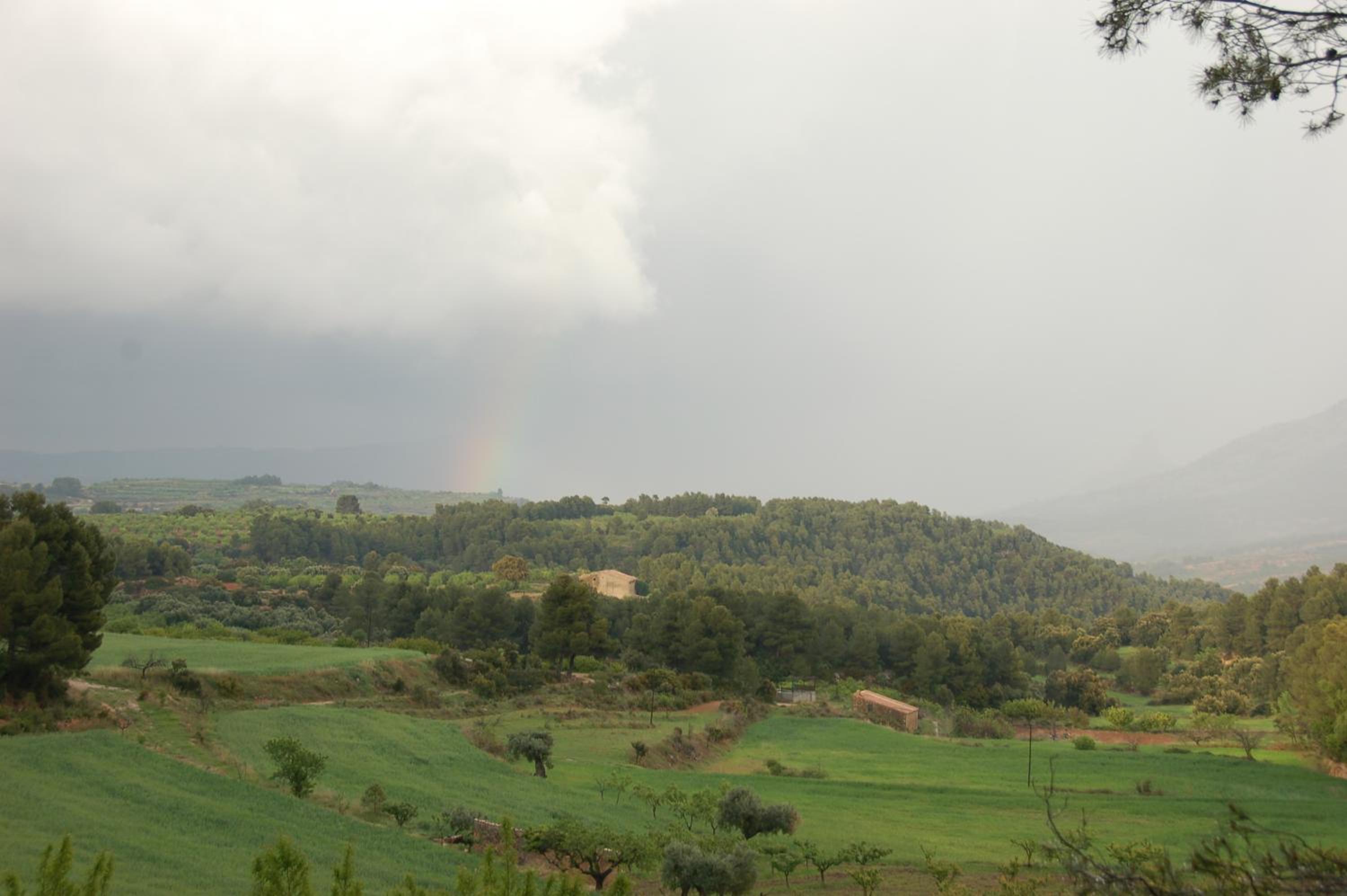 Càmping Terra Alta