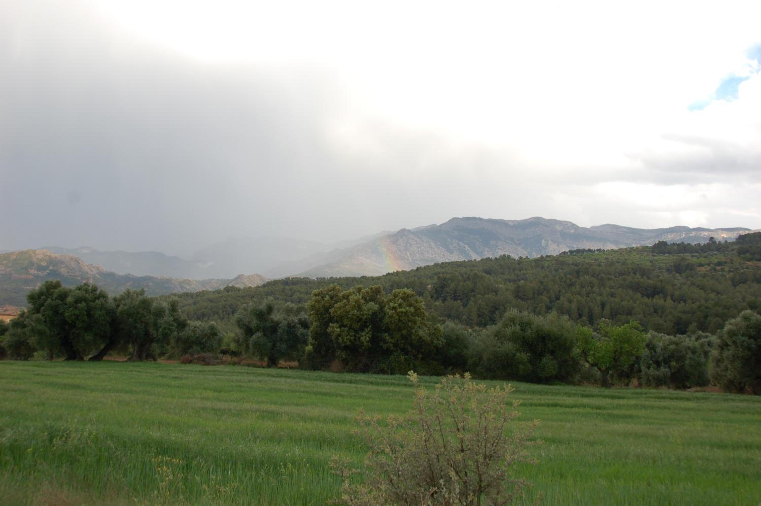 Càmping Terra Alta