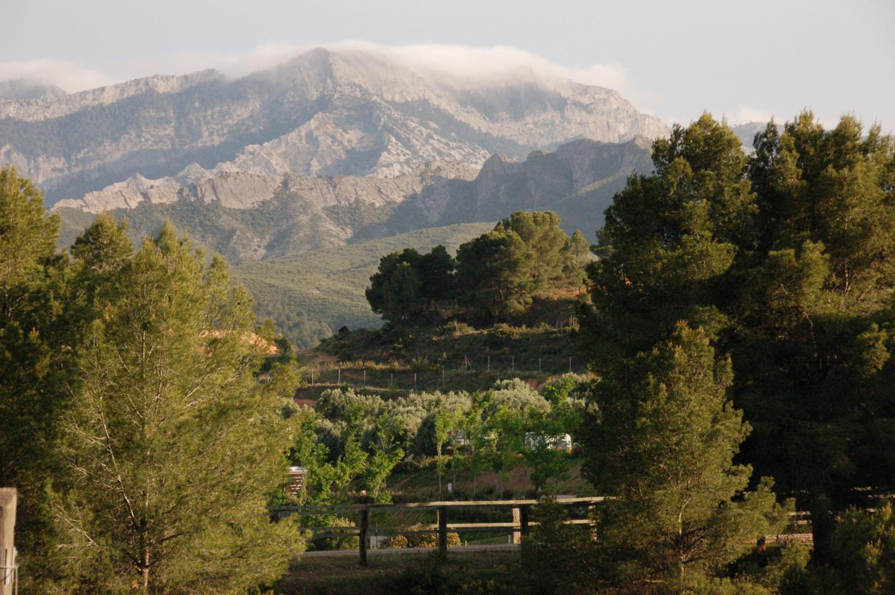 Càmping Terra Alta