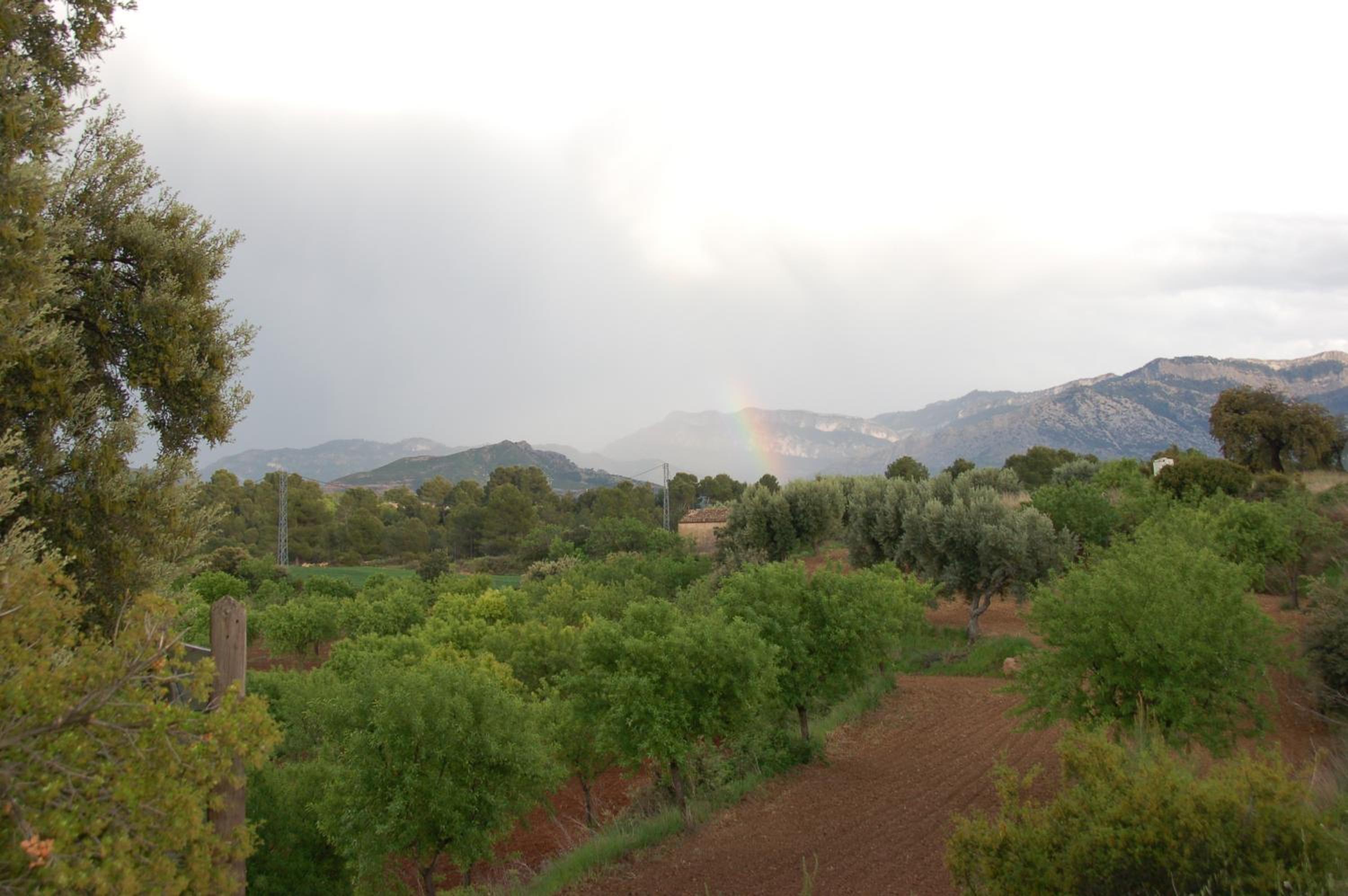 Càmping Terra Alta