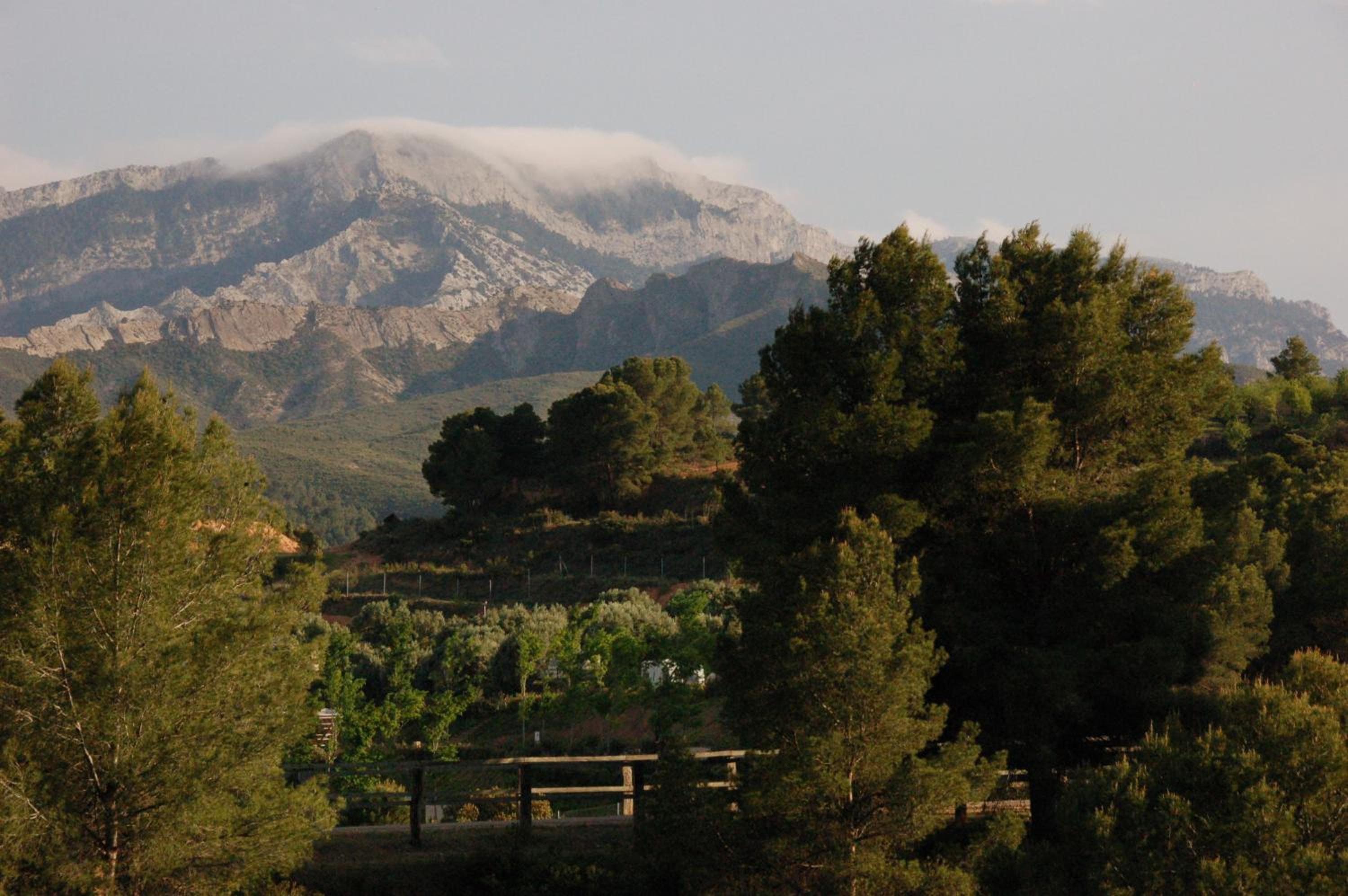 Càmping Terra Alta