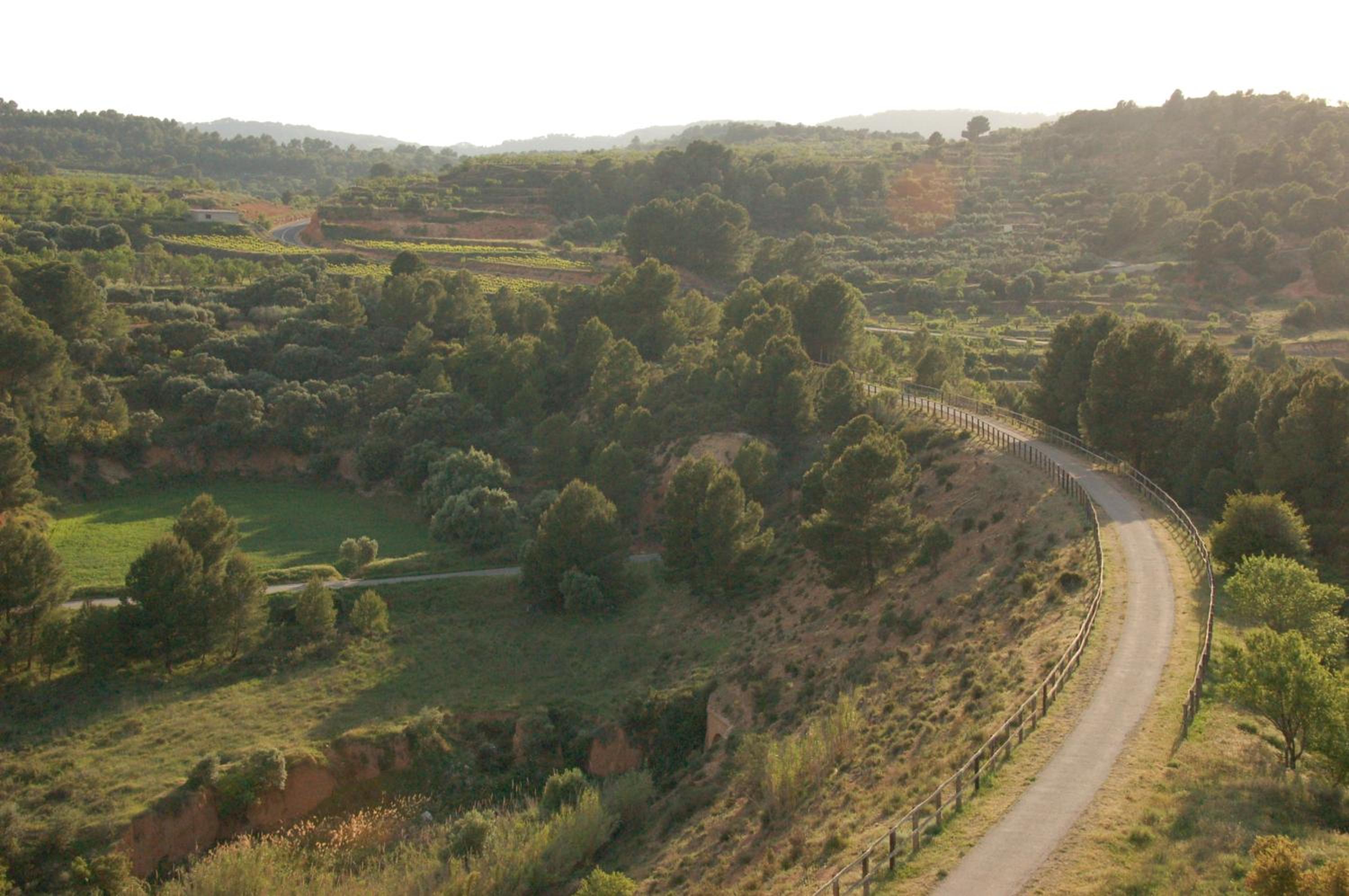 Càmping Terra Alta