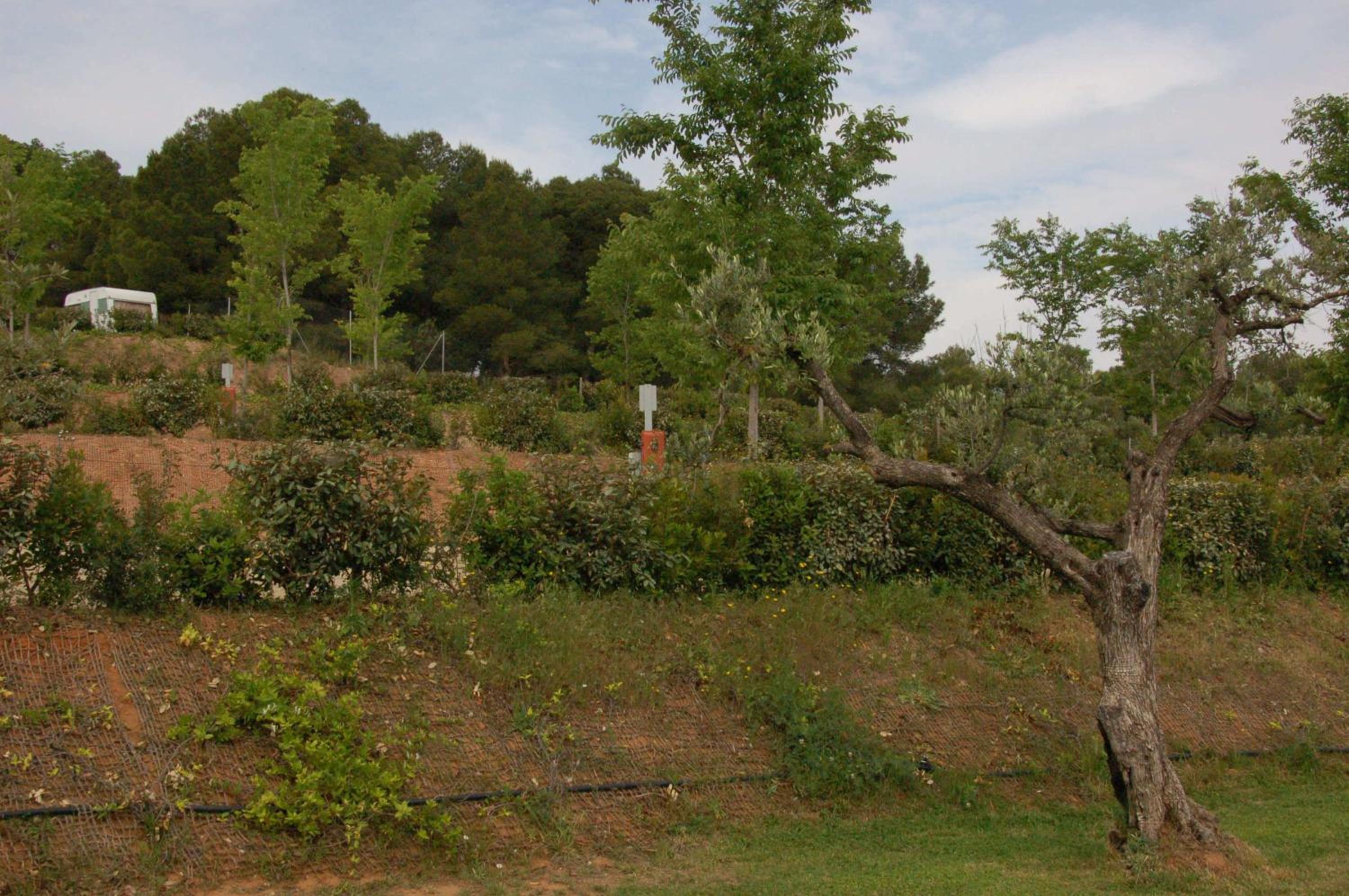 Càmping Terra Alta