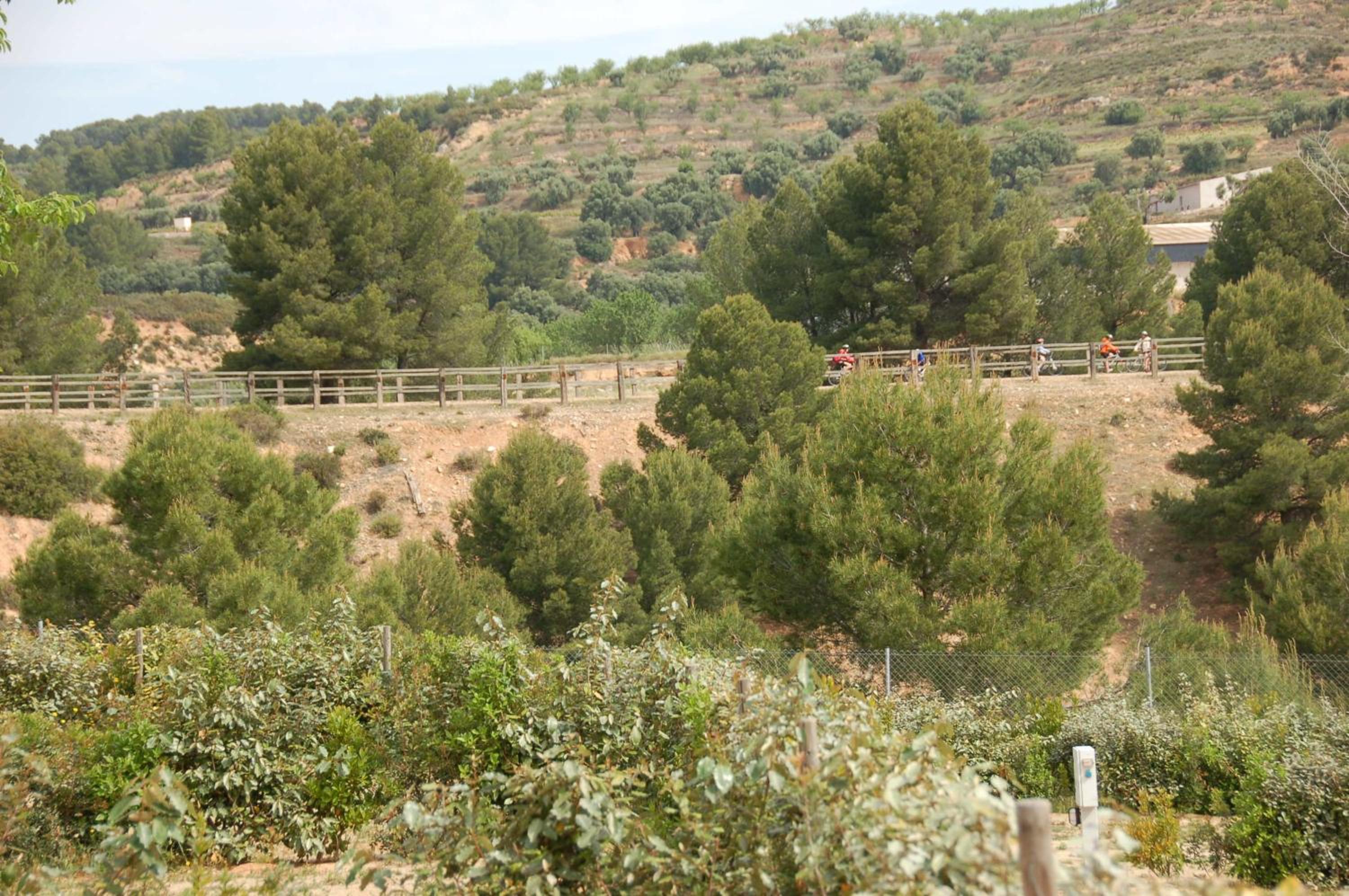 Càmping Terra Alta