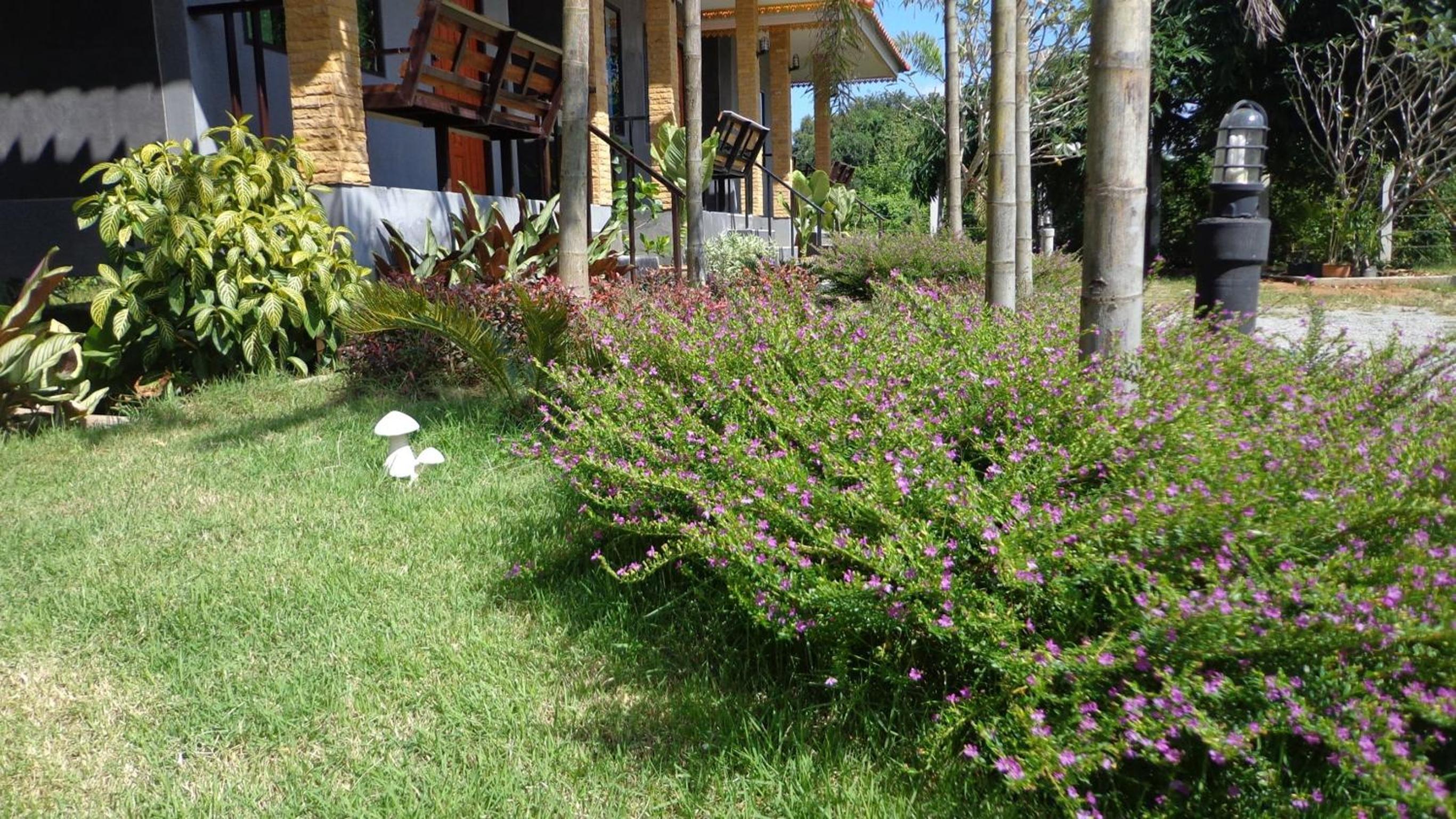 Chiang Rai Khuakrae Resort