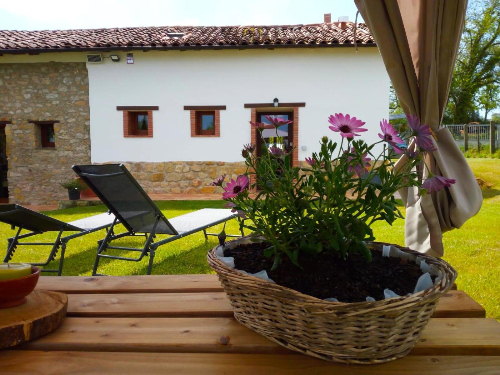 Casa Pepín - Sagasta Rural Oviedo view 3
