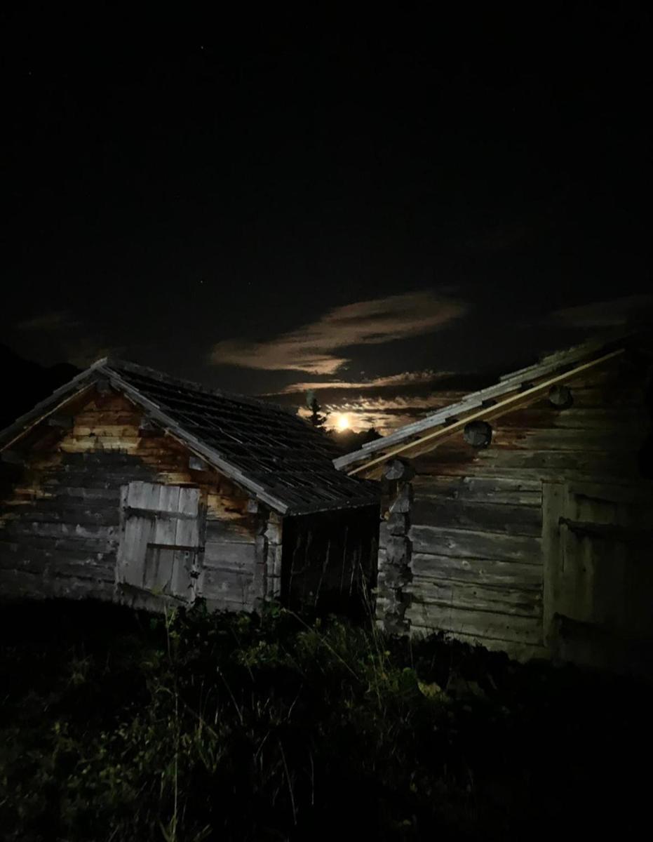 Photo 35