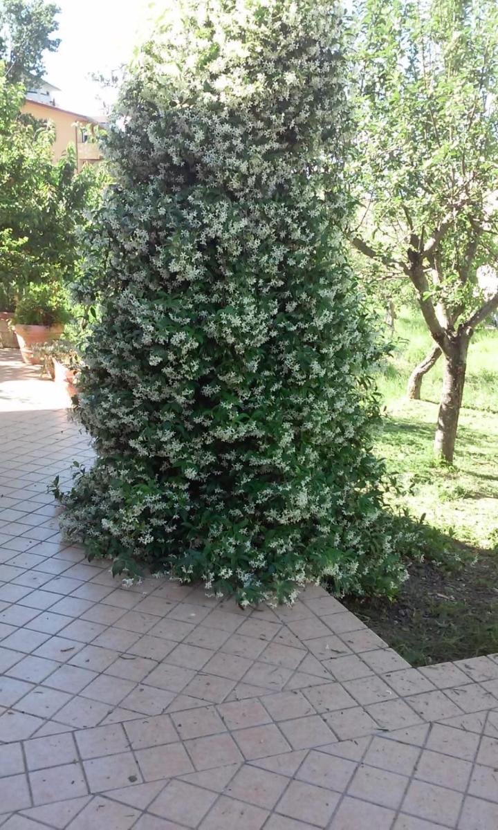 Casa di Heidi view 3