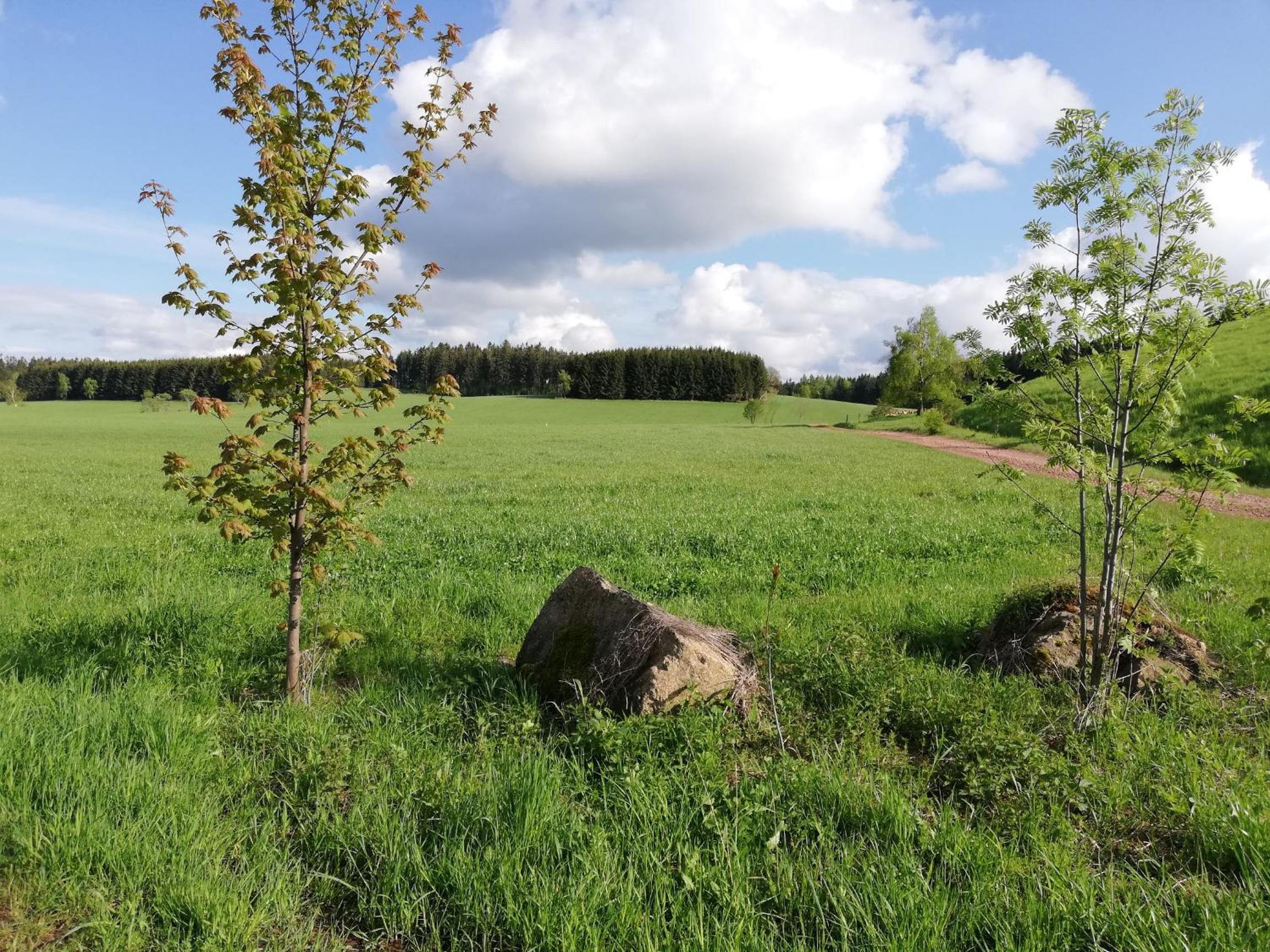 Ferienwohnung an der Reitanlage