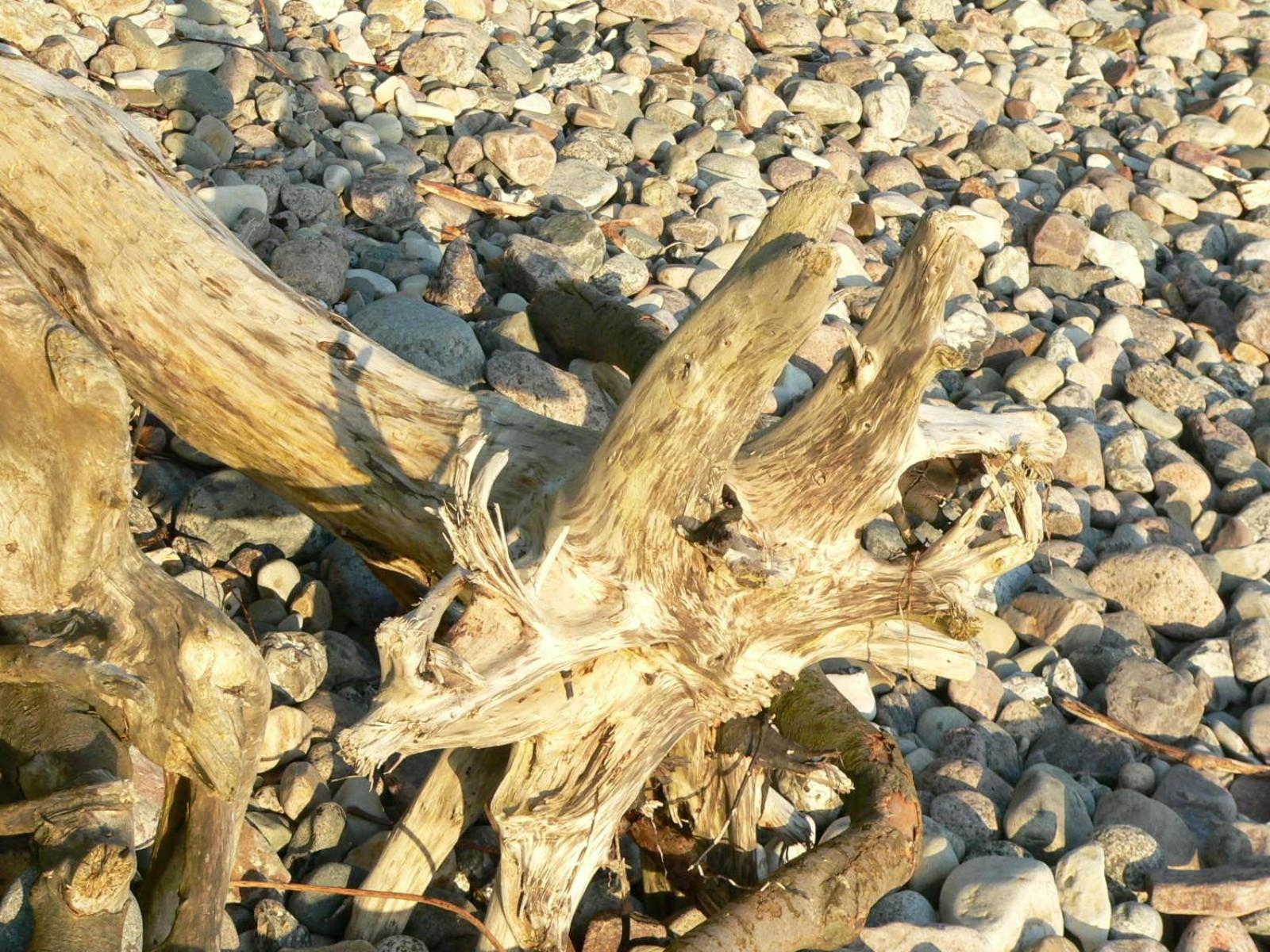 Ferienwohnungen im Ostseebad Binz