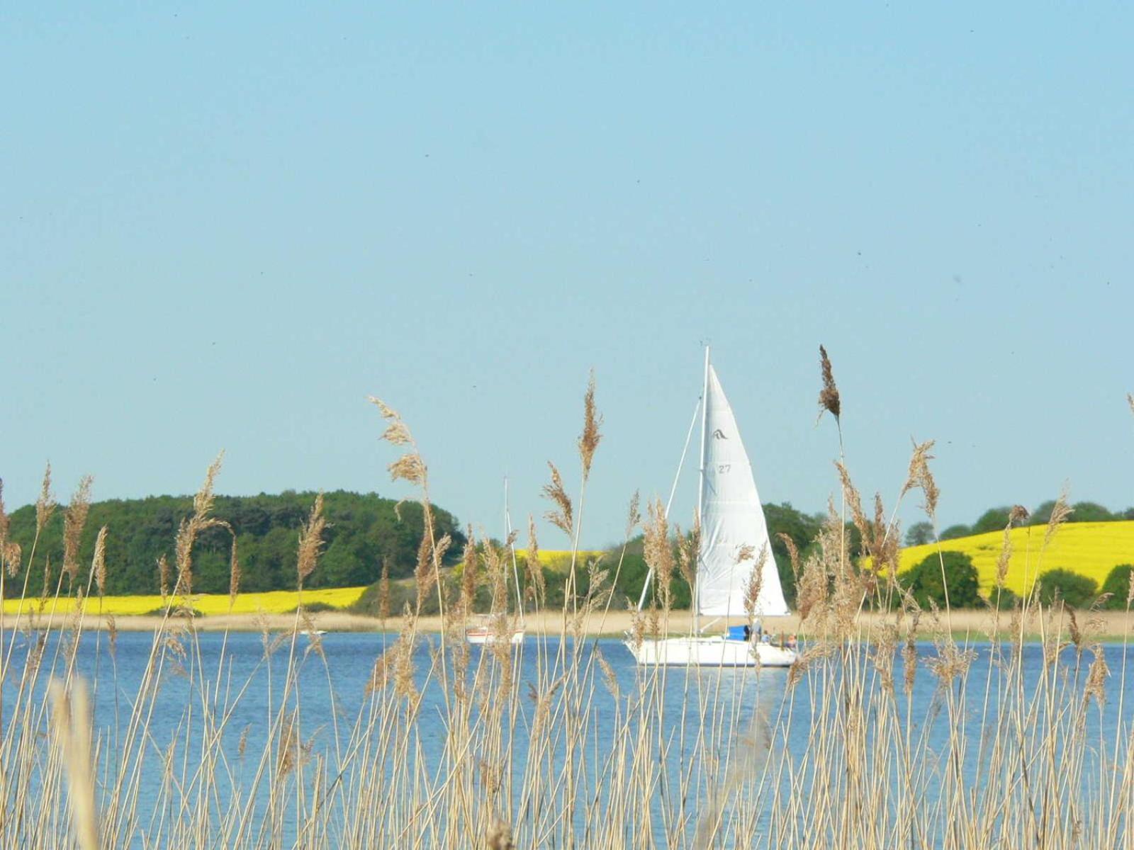 Ferienwohnungen im Ostseebad Binz