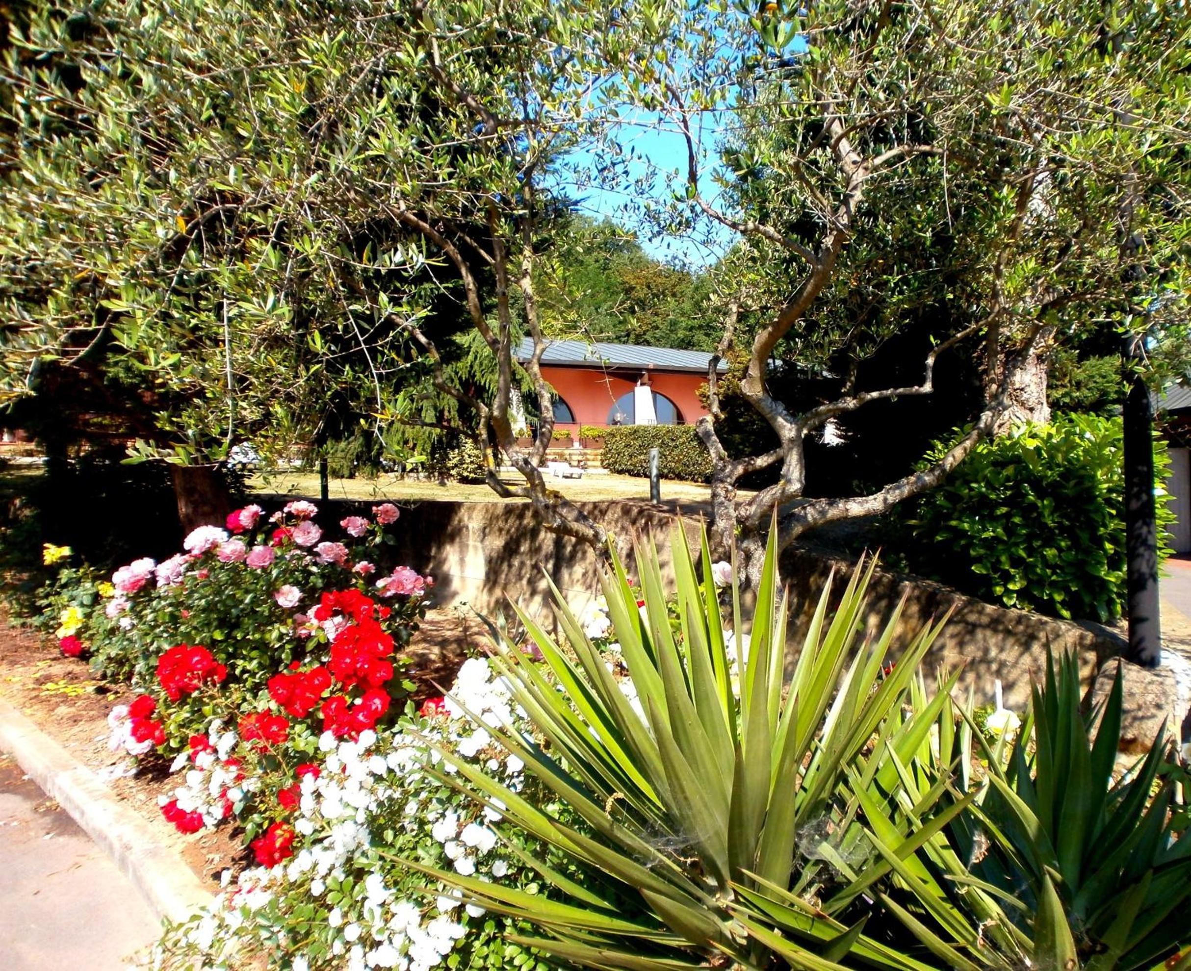 Camping Village Il Poggetto