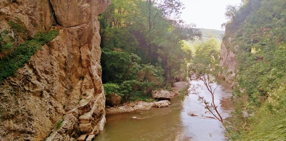 Odmaralište Vlaško ždrelo view 3