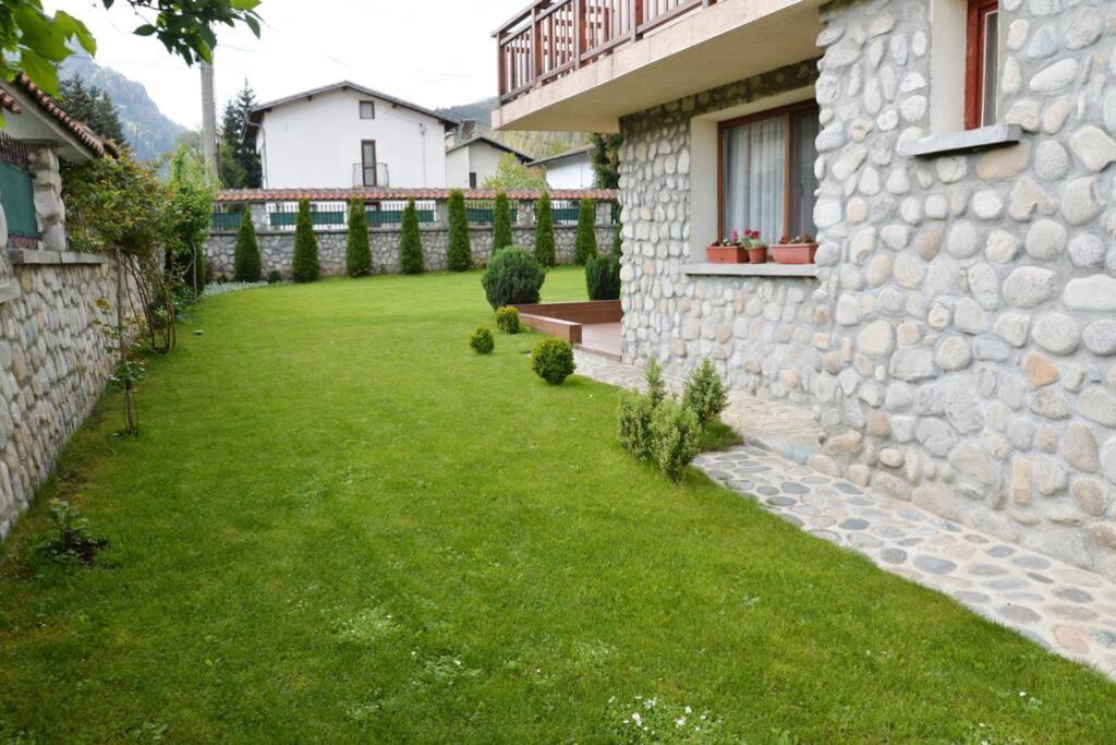 Photo 46