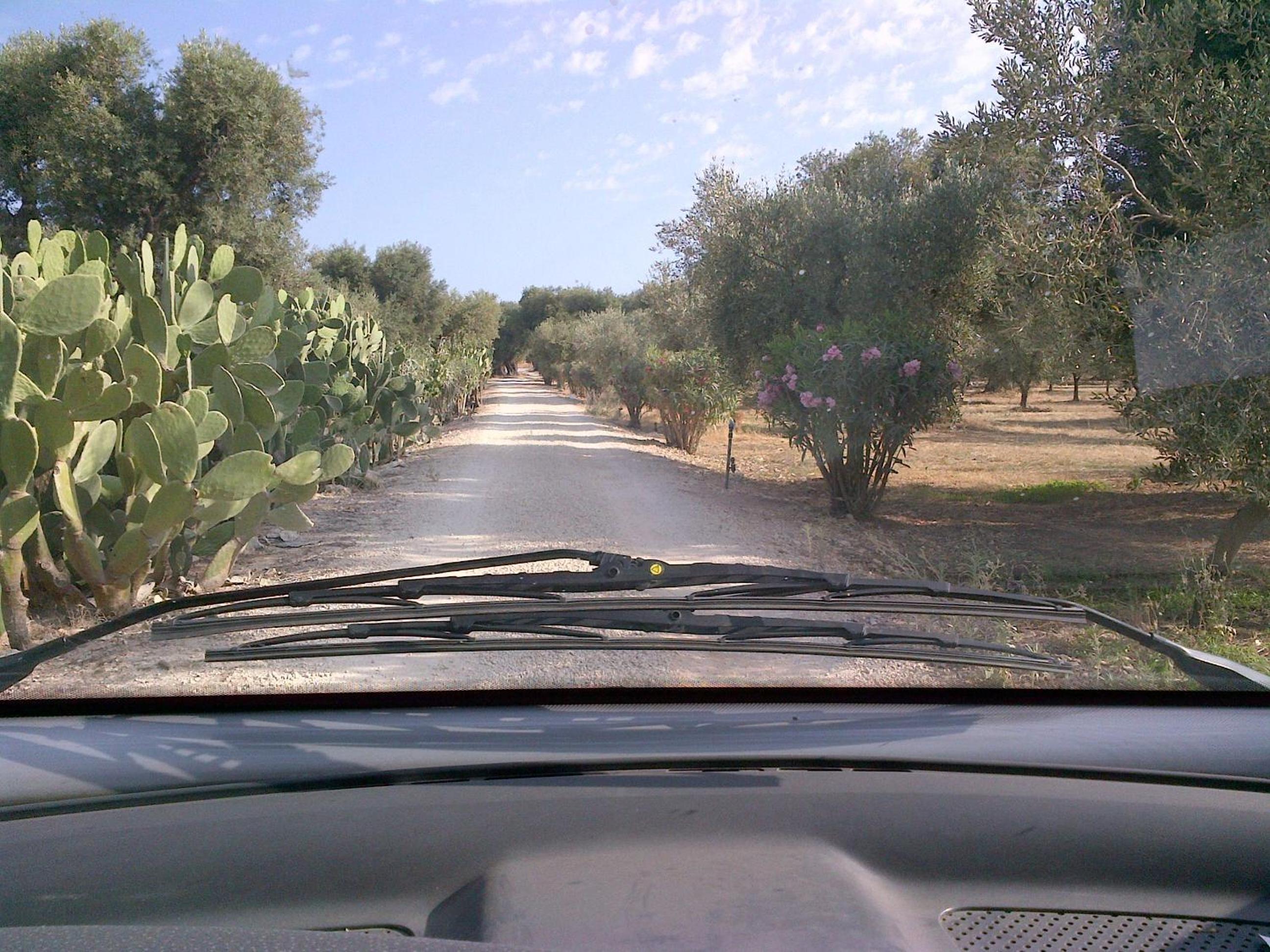 Photo 21