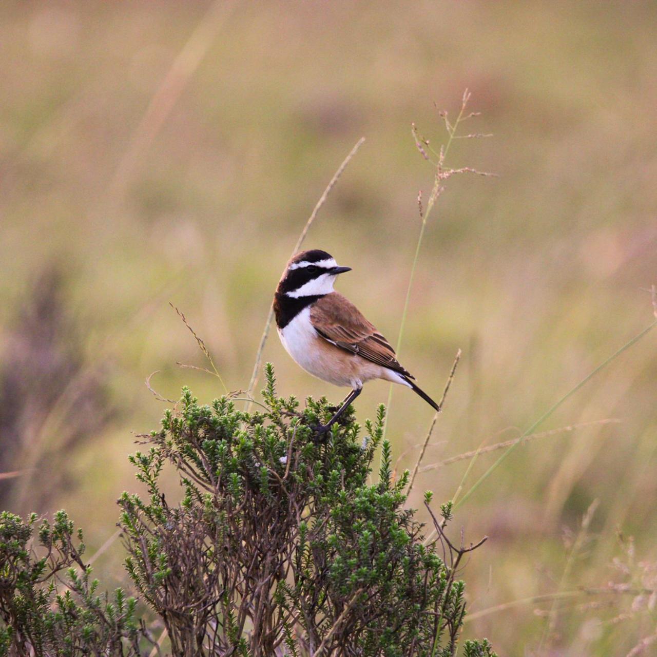 Hartenbos Private Game Lodge view 2